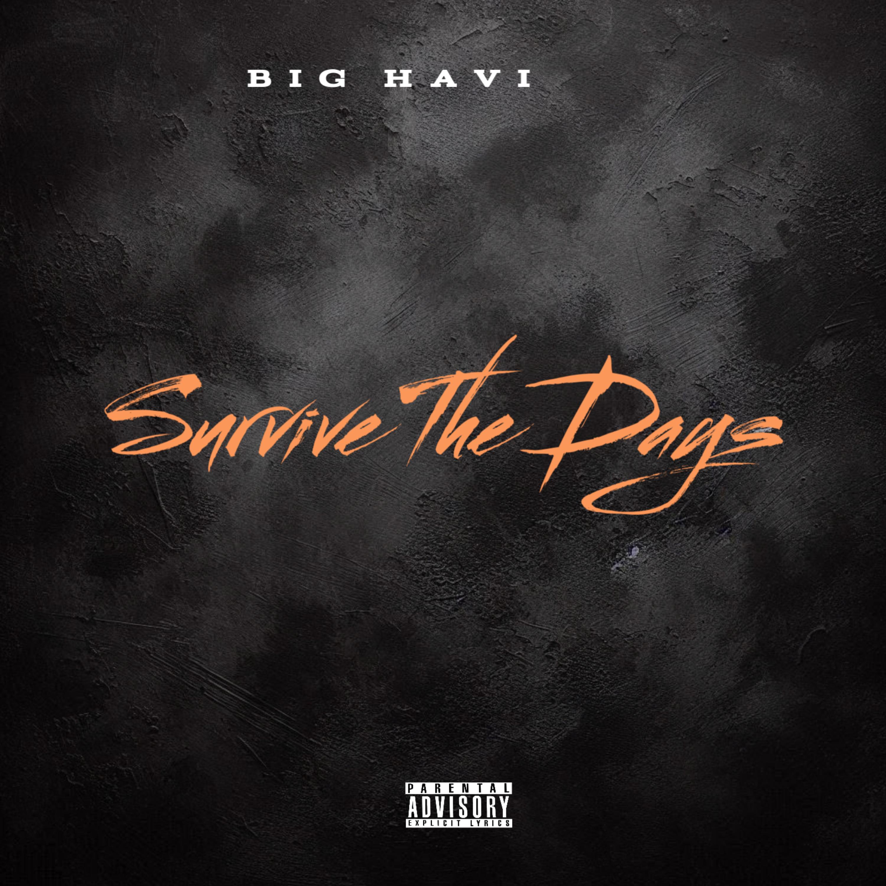 Survive The Days artwork