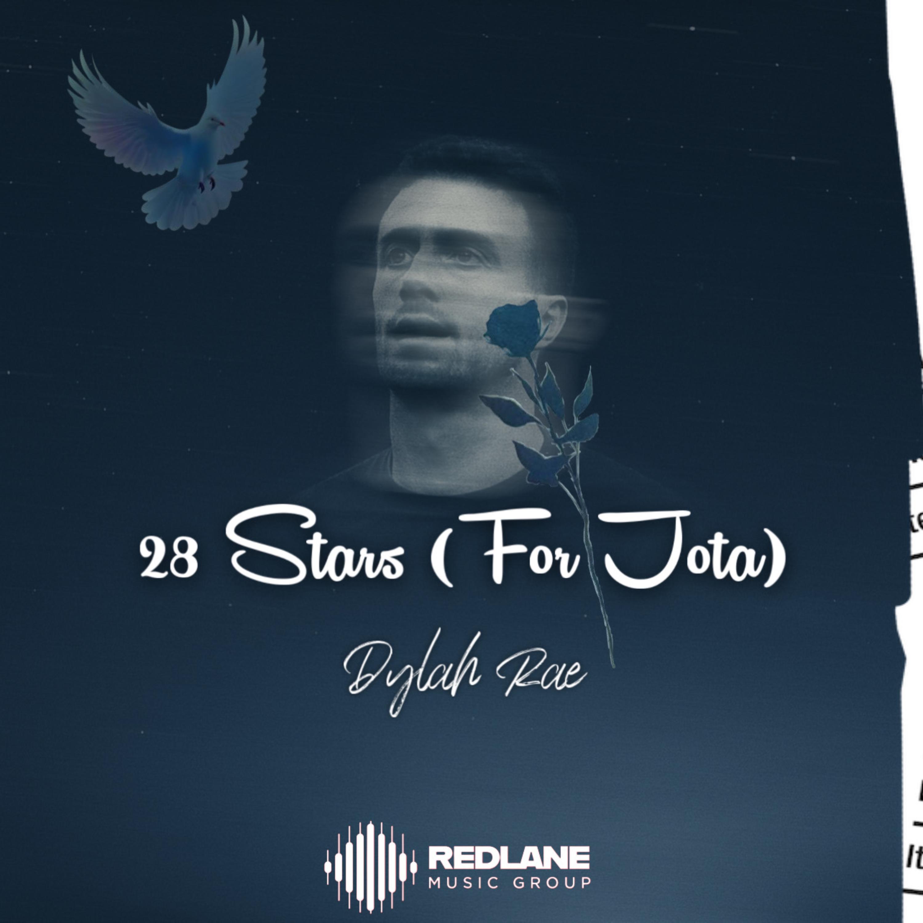 28 Stars ( For Jota) artwork
