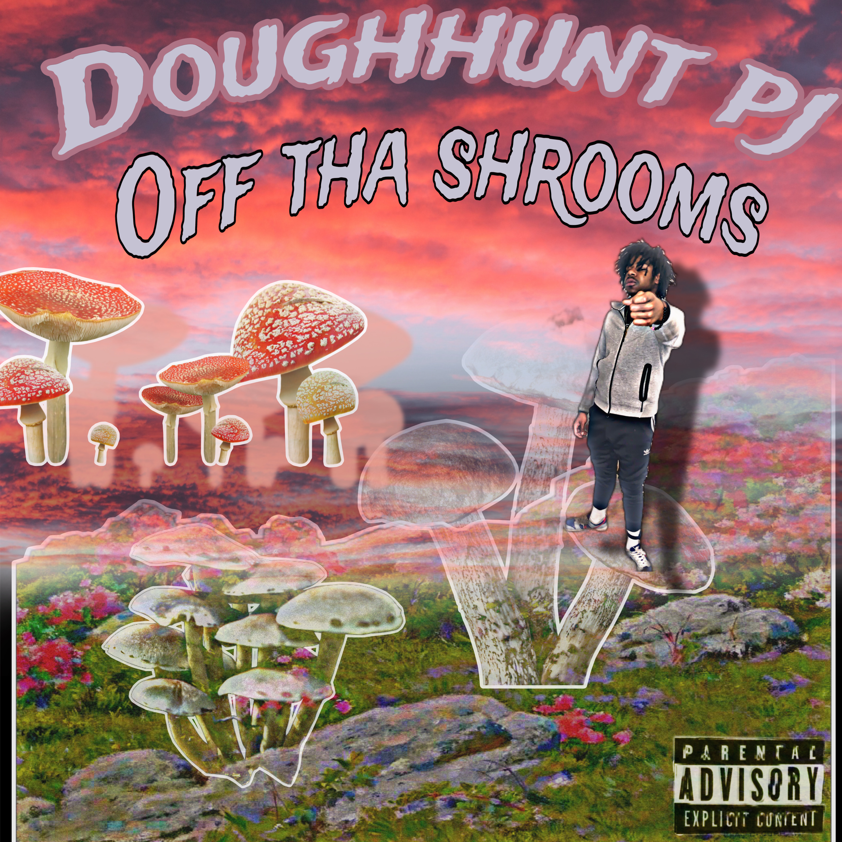Off Tha Shrooms artwork