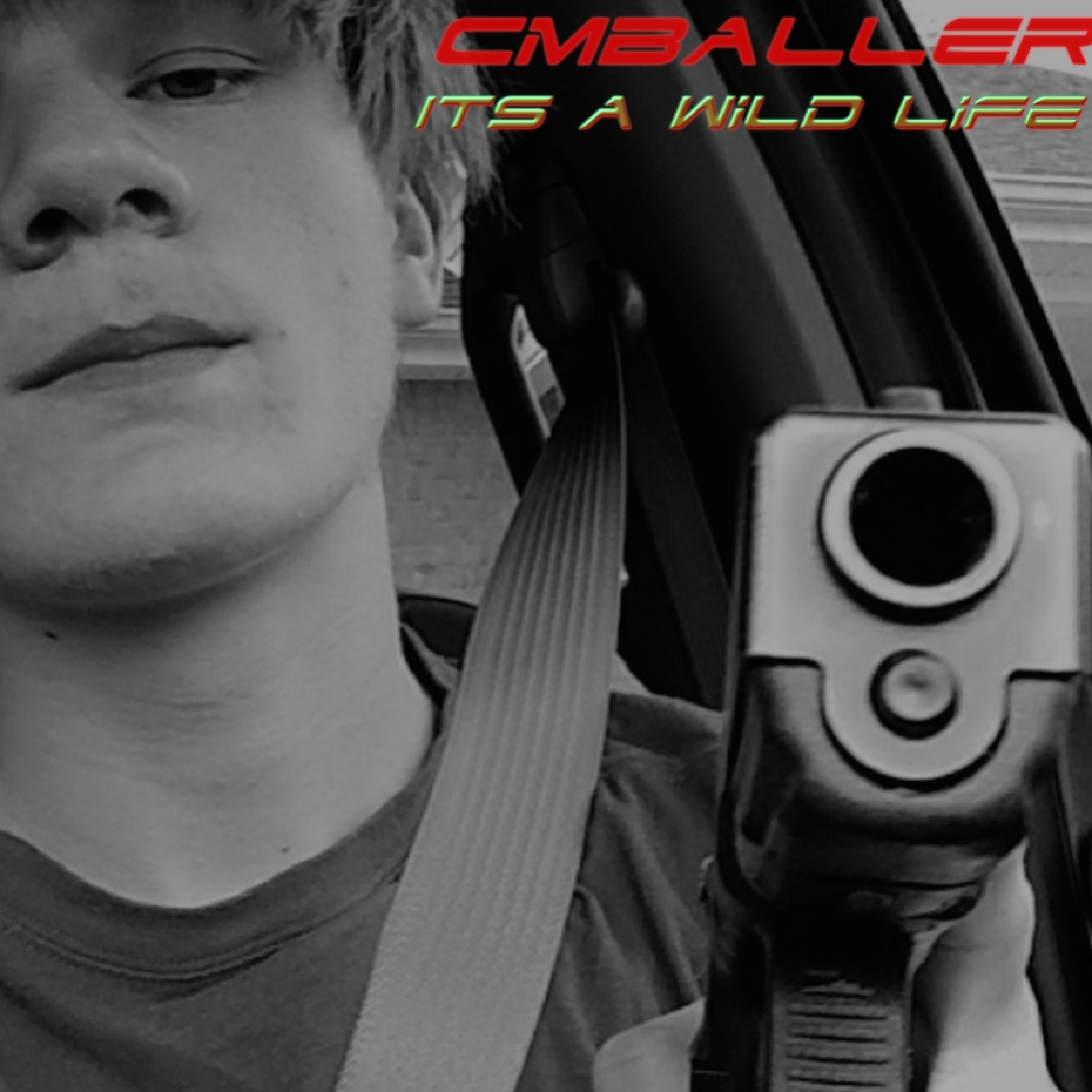 IT$ A Wild Life by Cmballer cover art