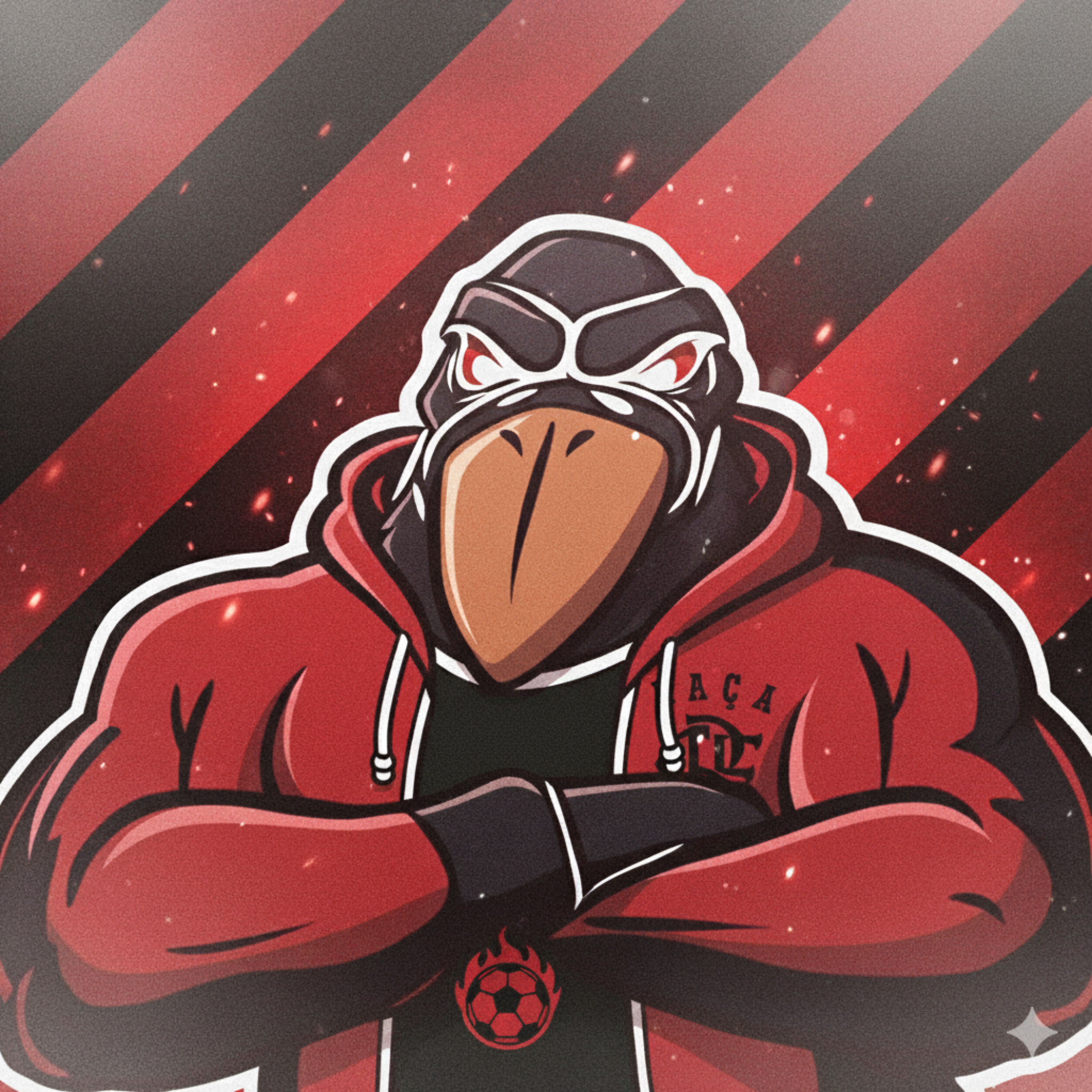 O Flamengo Vem Aí artwork