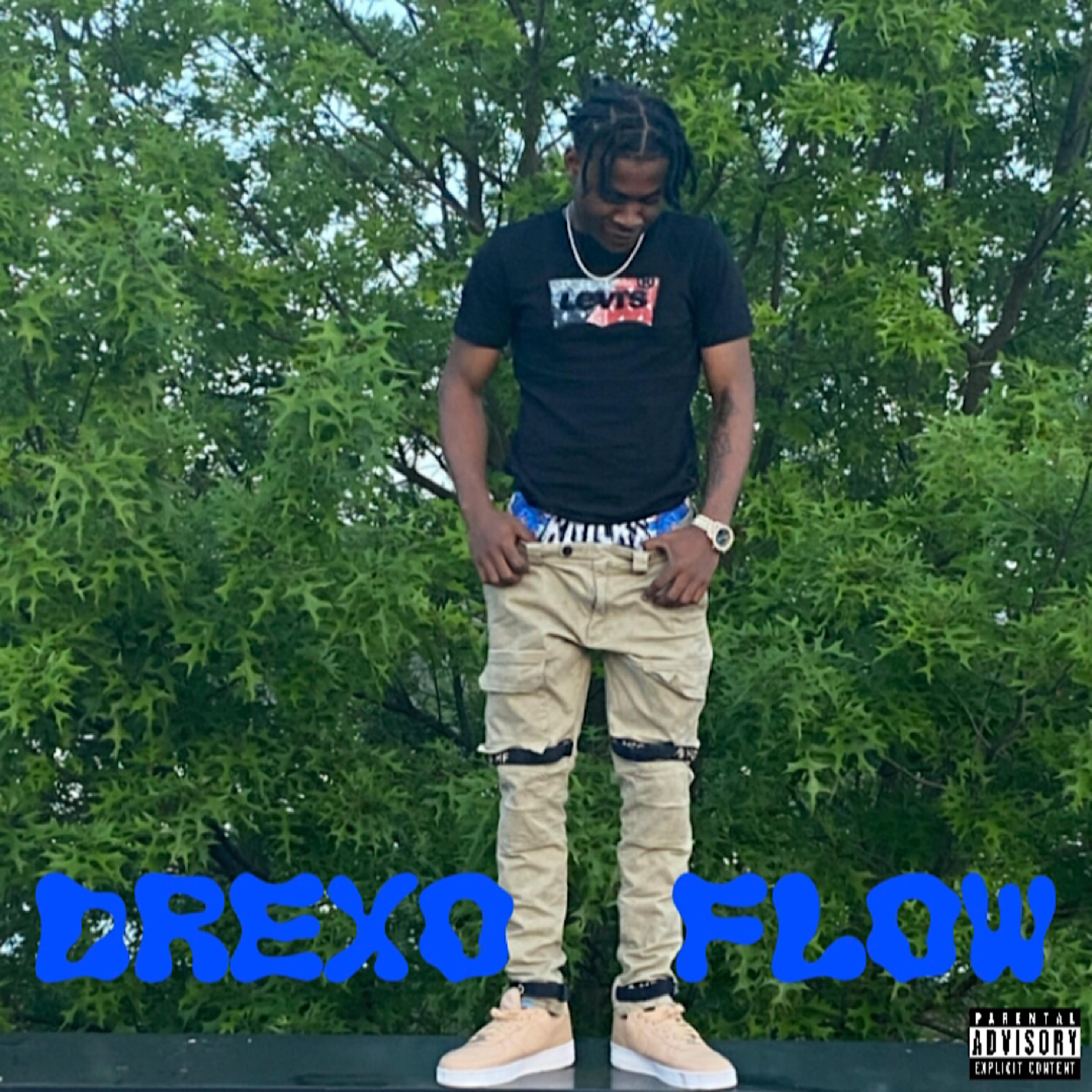 Drexo Flow artwork
