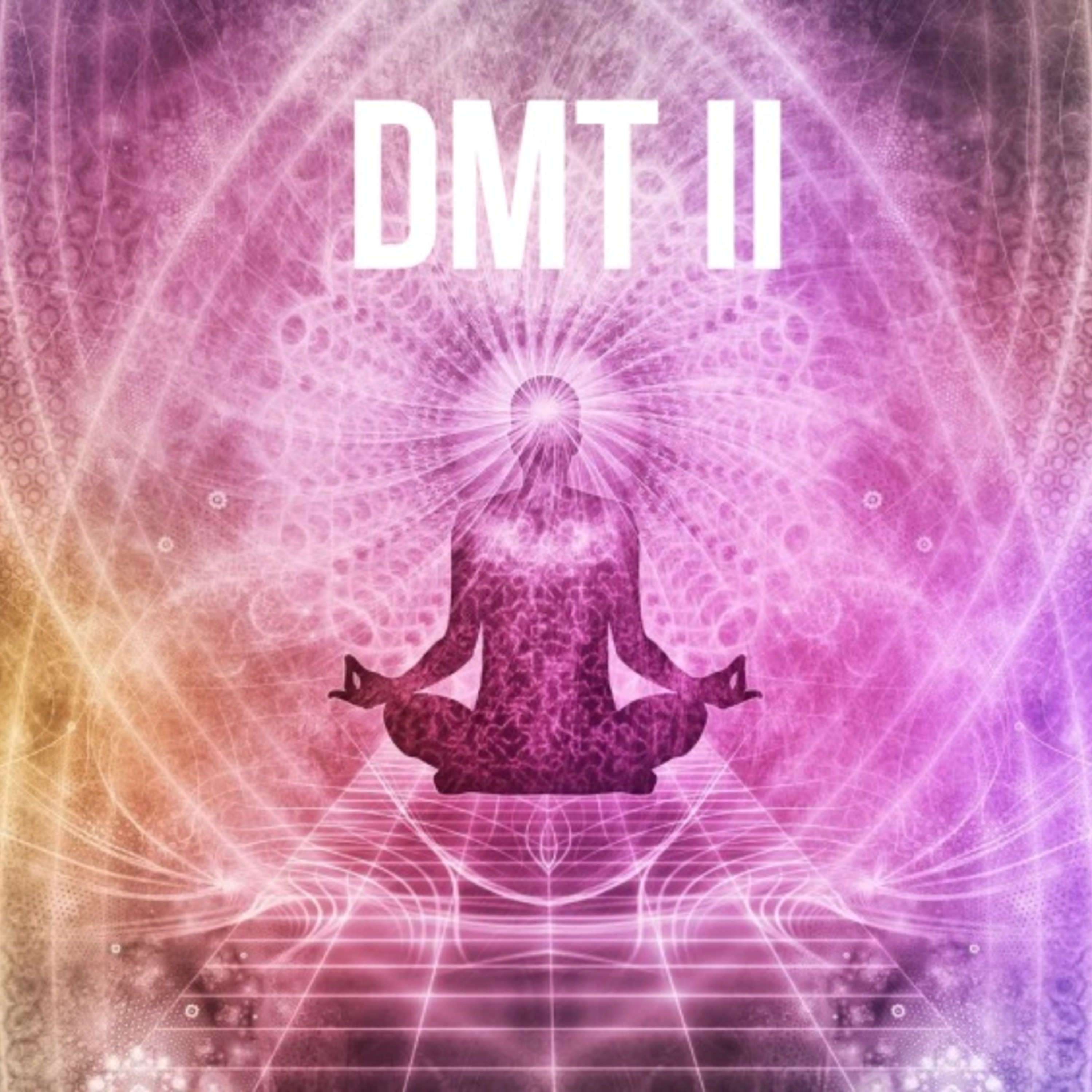 DMT II artwork