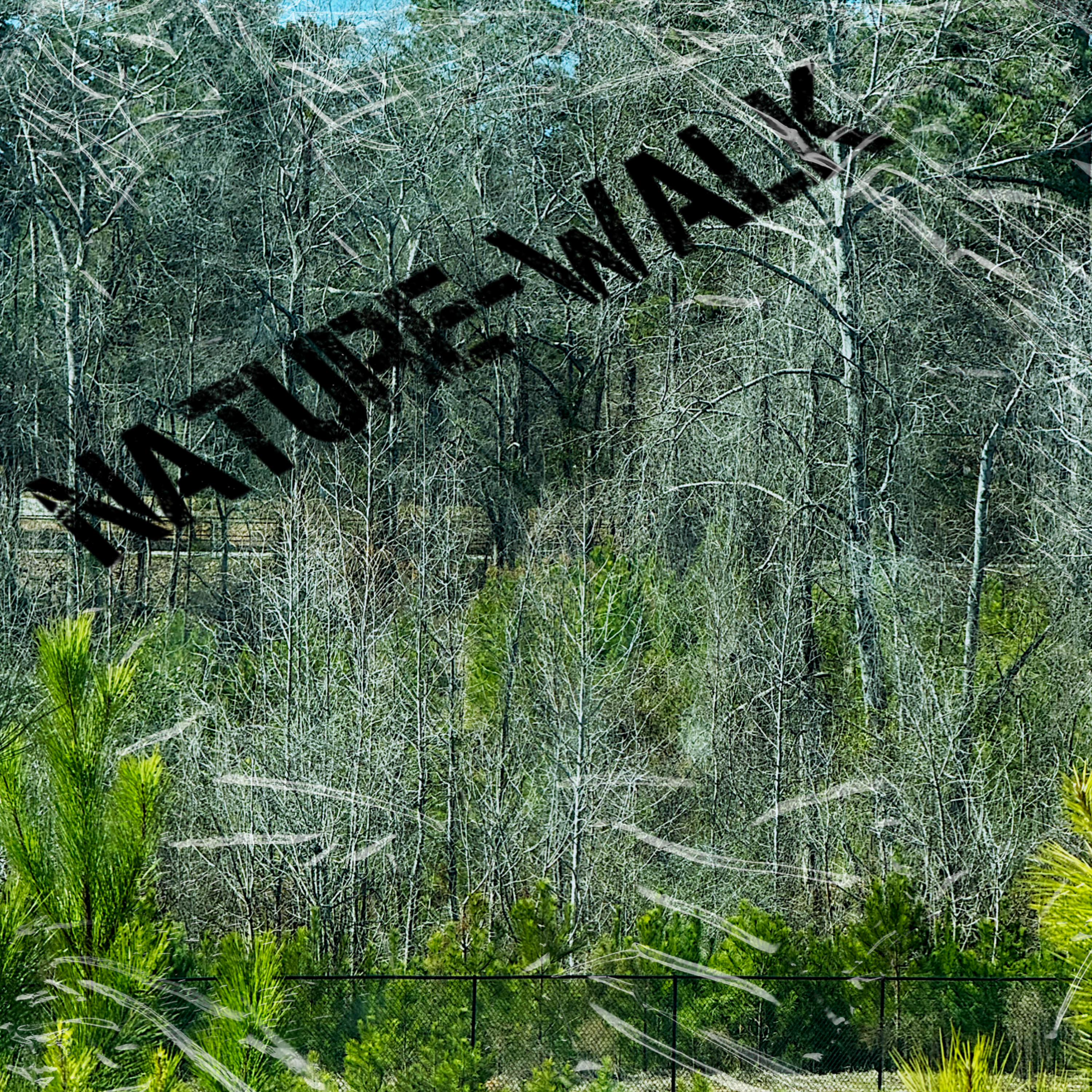 Nature-Walk artwork
