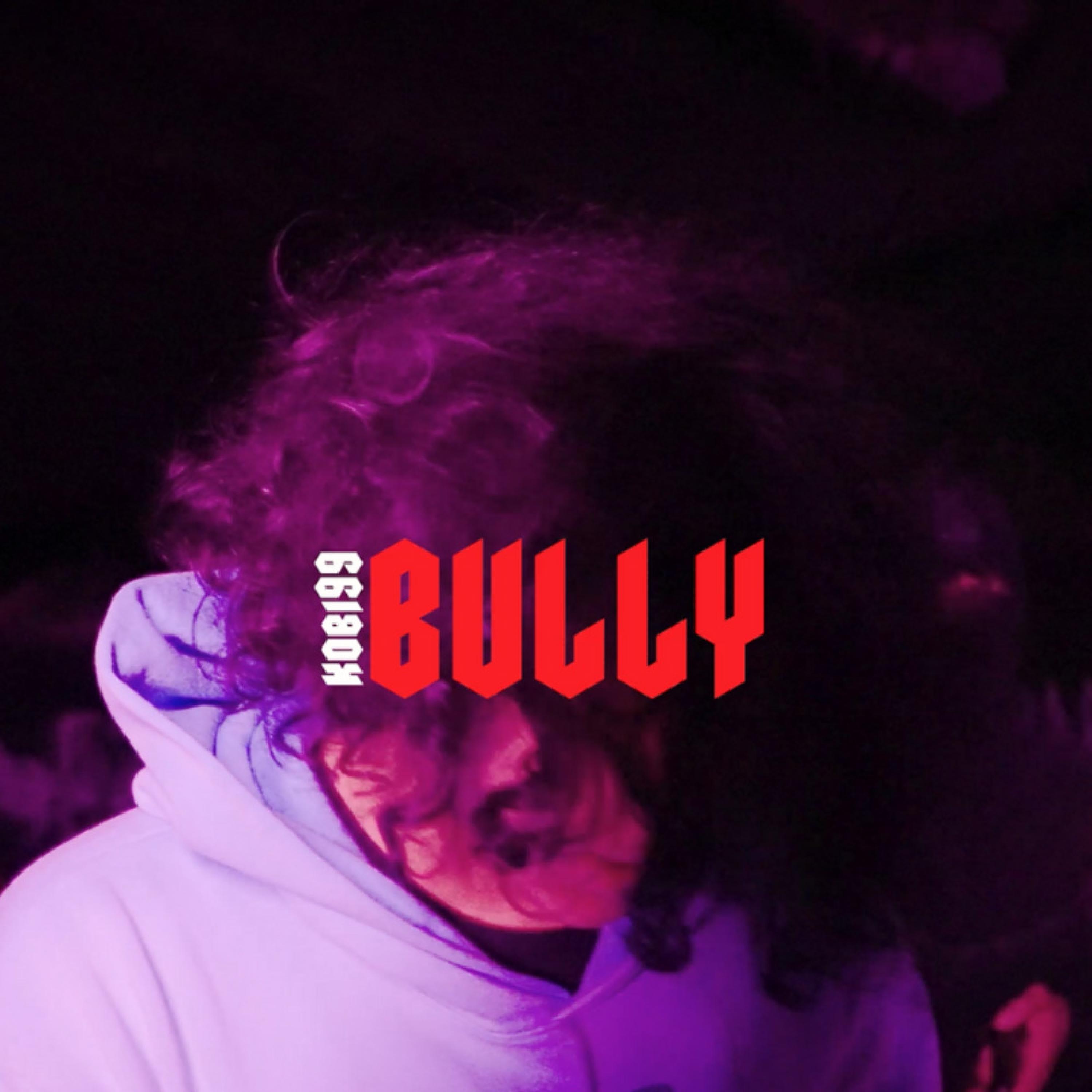 BULLY artwork