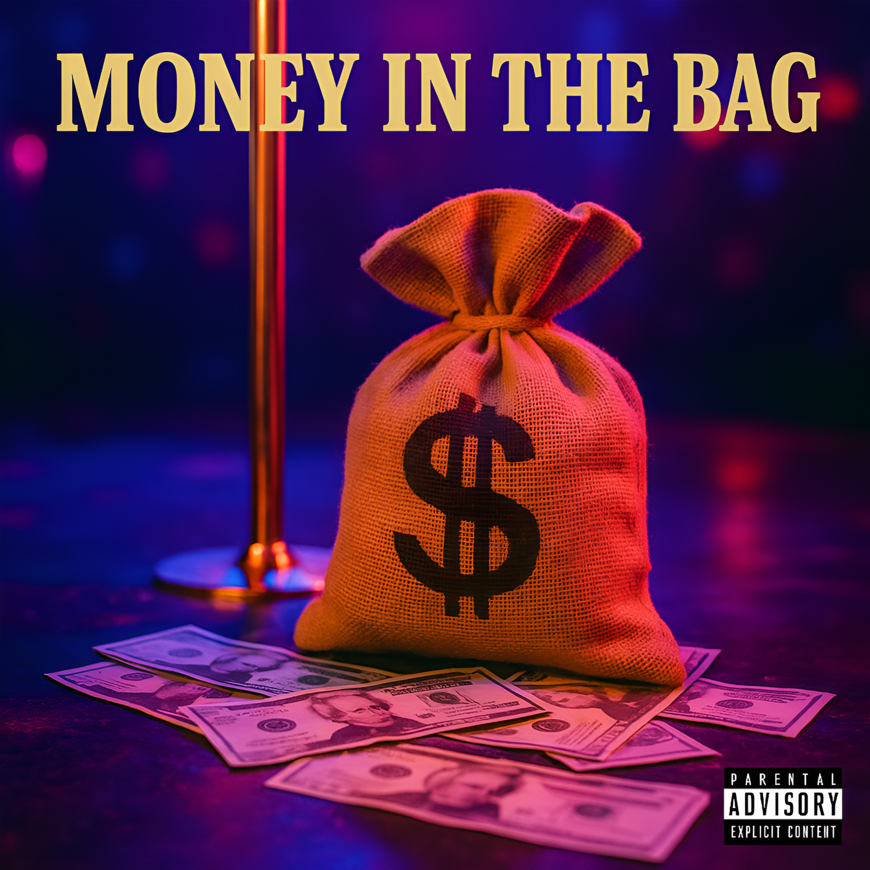 Money in the Bag artwork