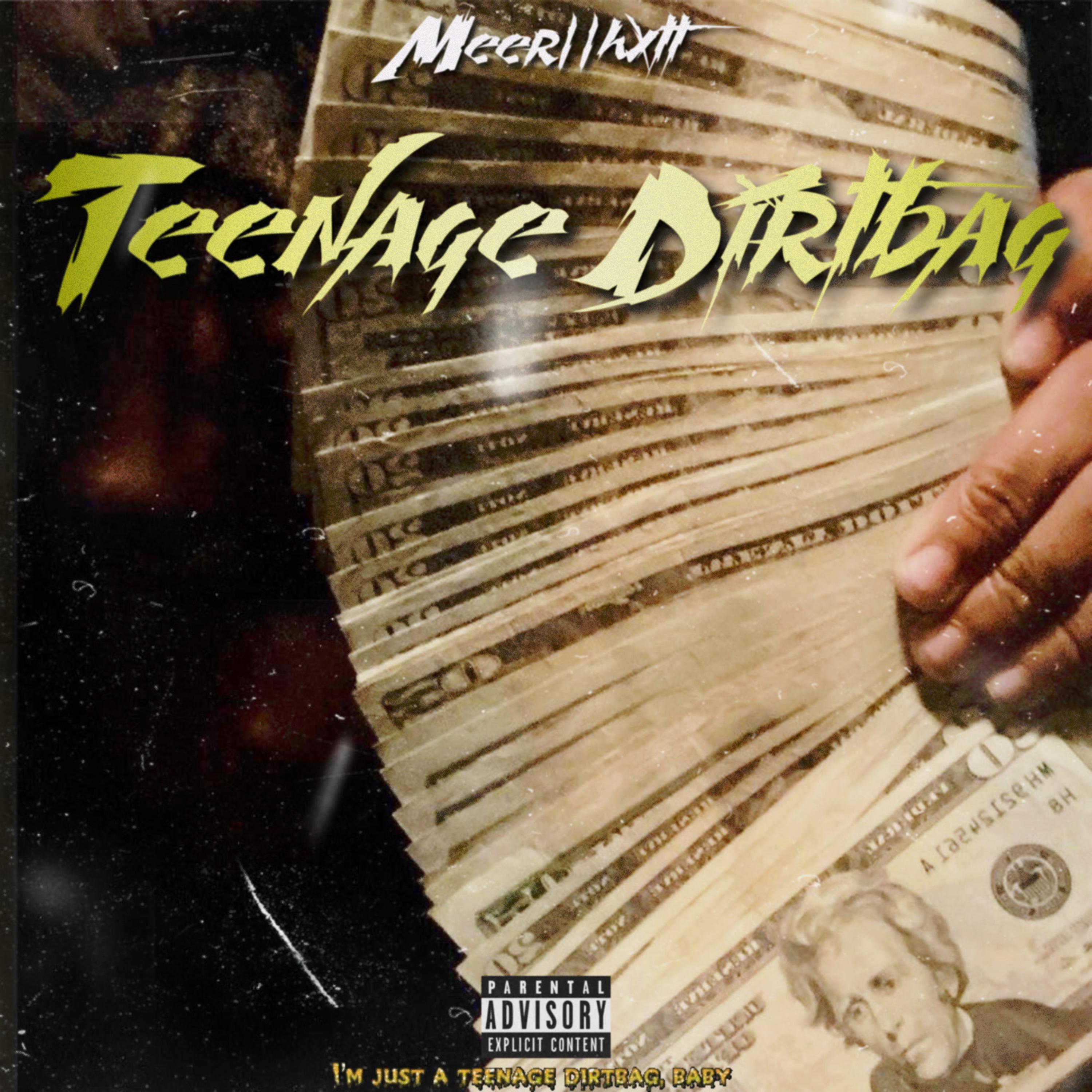Teenage Dirtbag by Meer2hxtt cover art