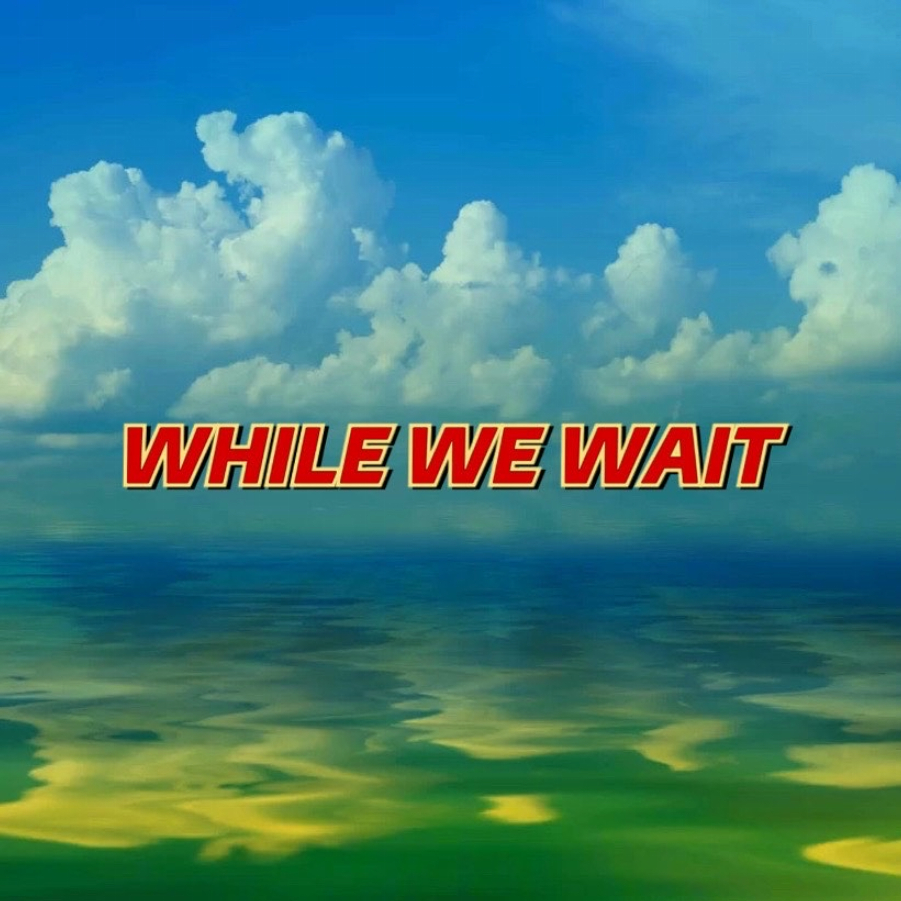 WHILE WE WAIT artwork
