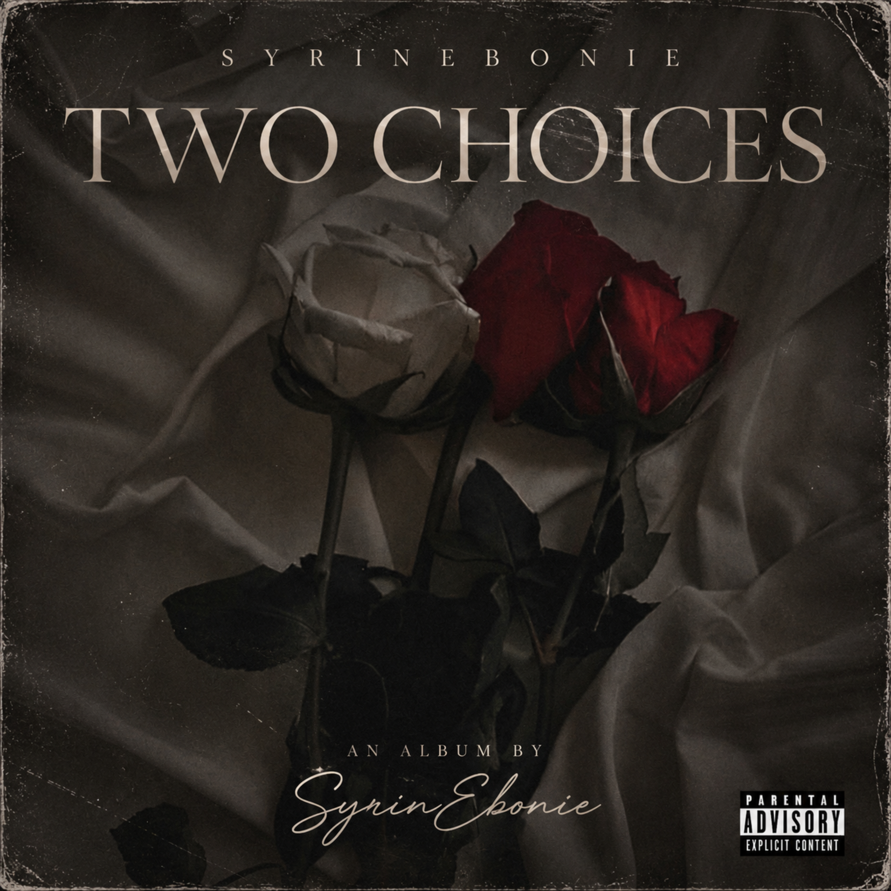 Two Choices by SyrinEbonie cover art
