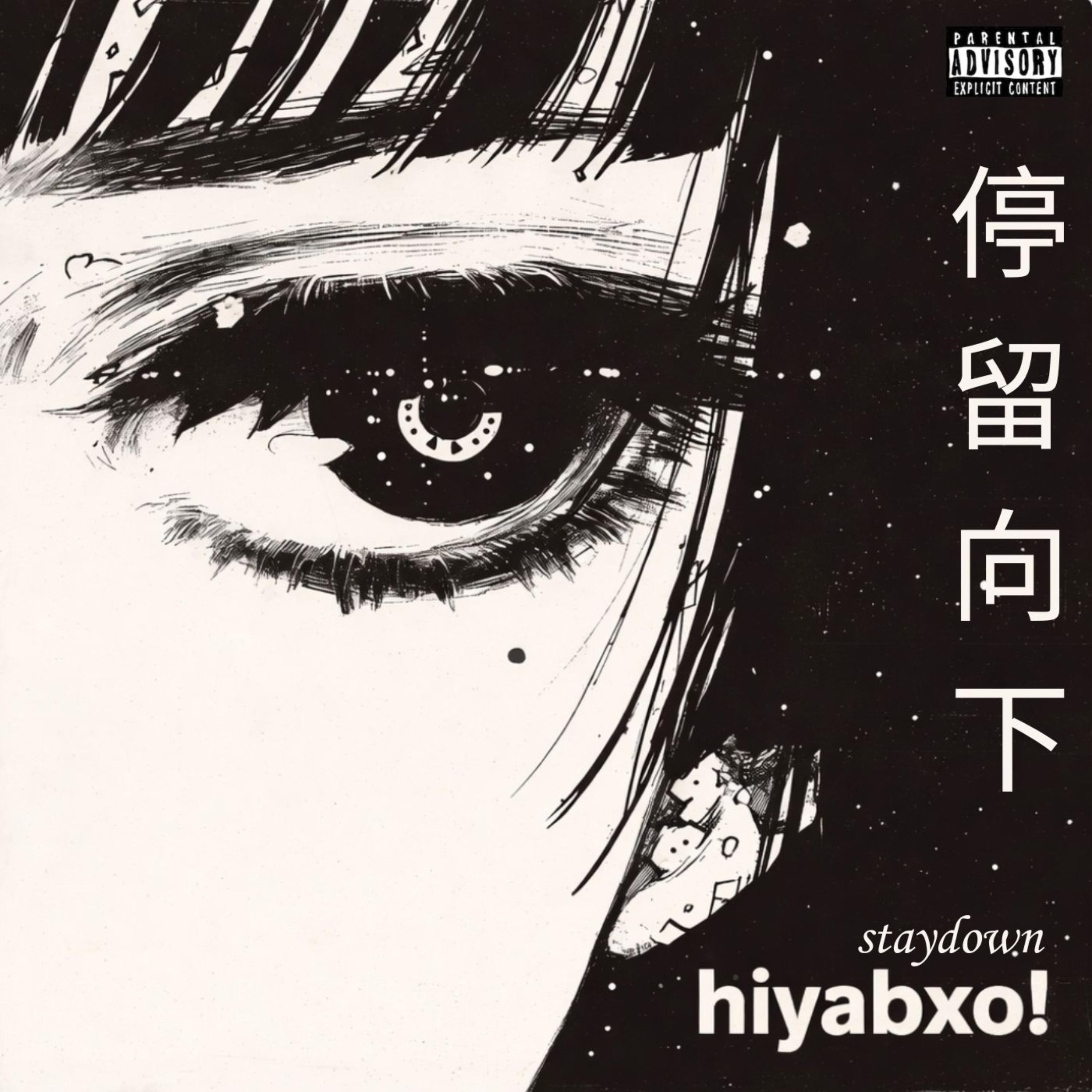 STAYDOWN artwork
