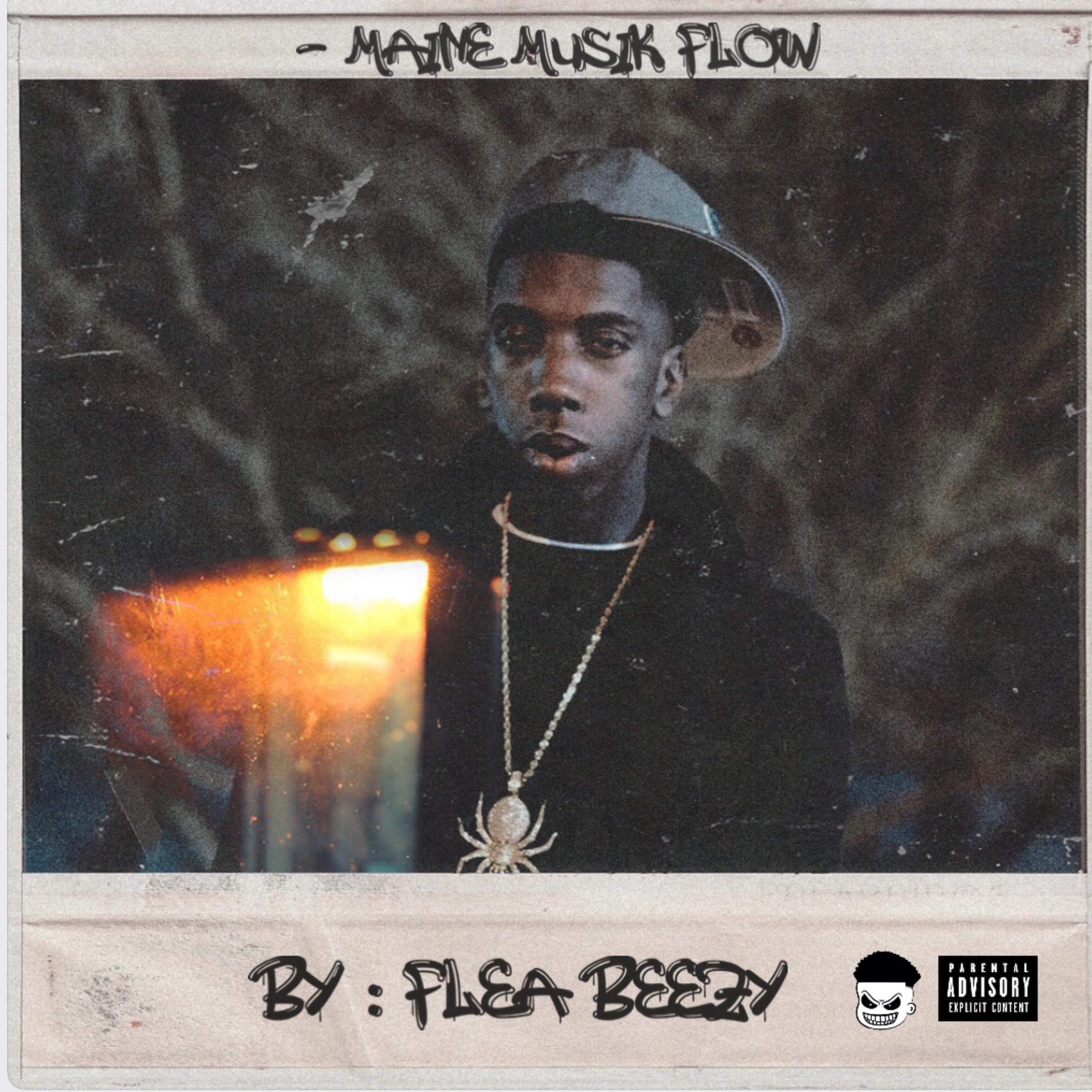 Maine Musik Flow artwork