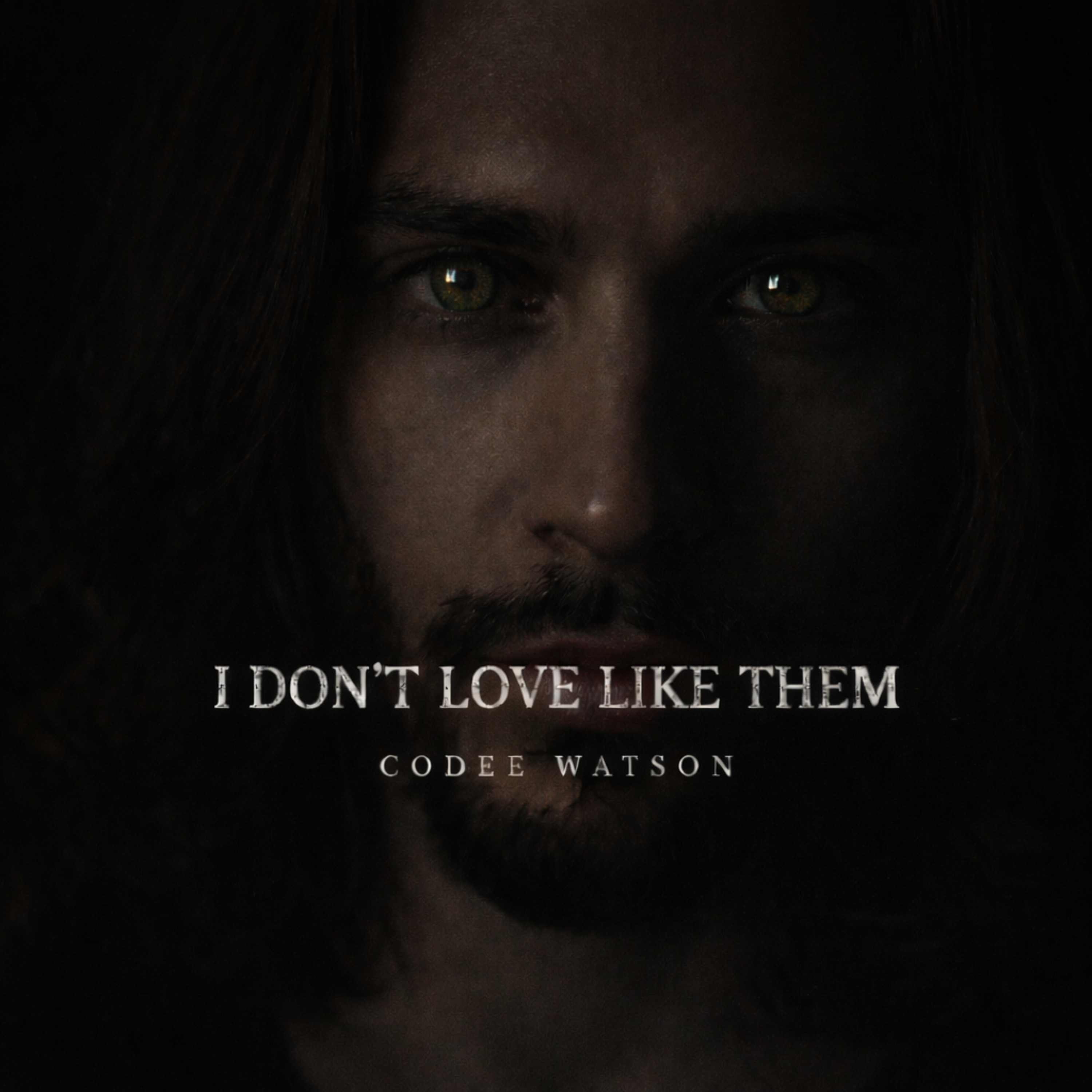 I Don’t Love Like Them artwork