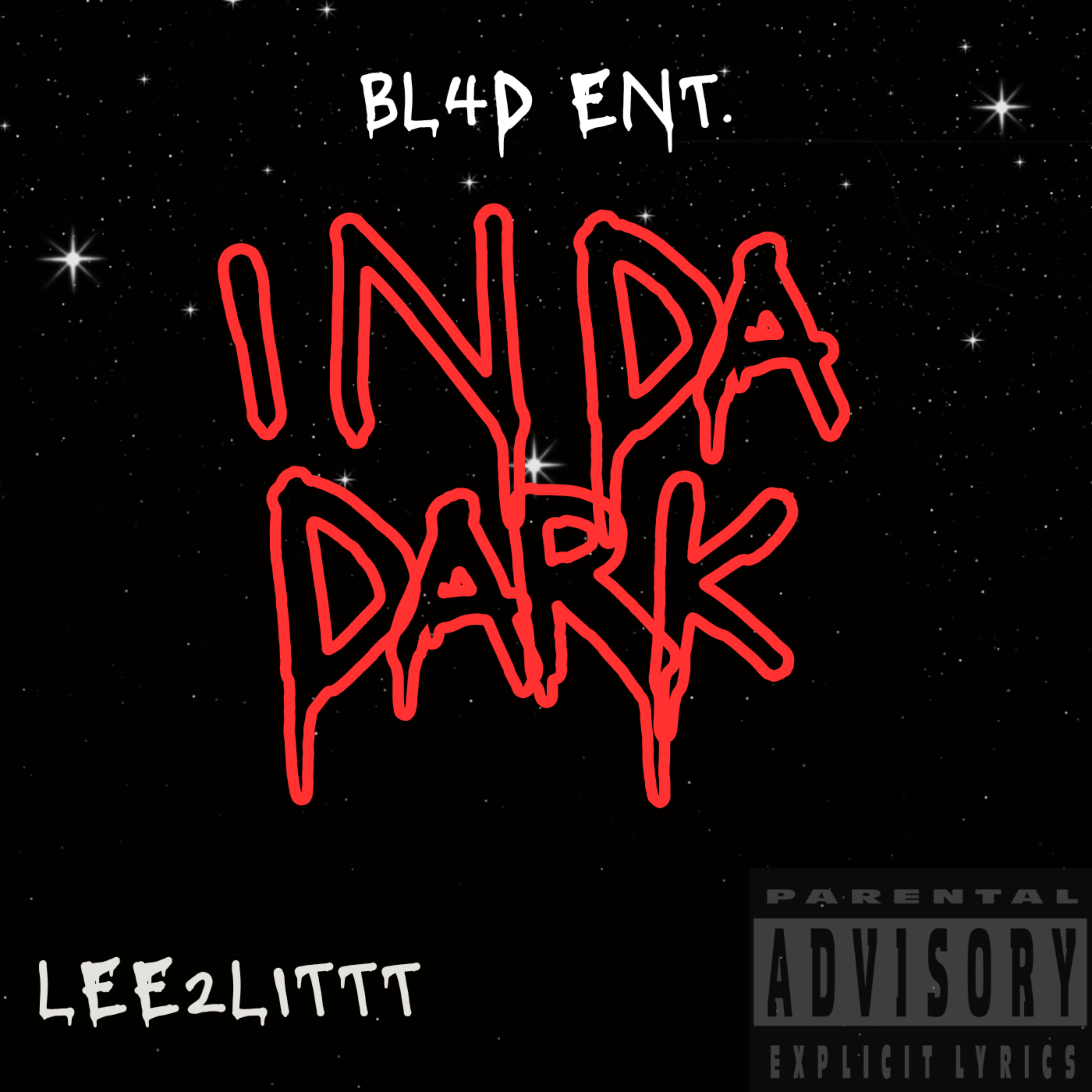 IN DA DARK artwork