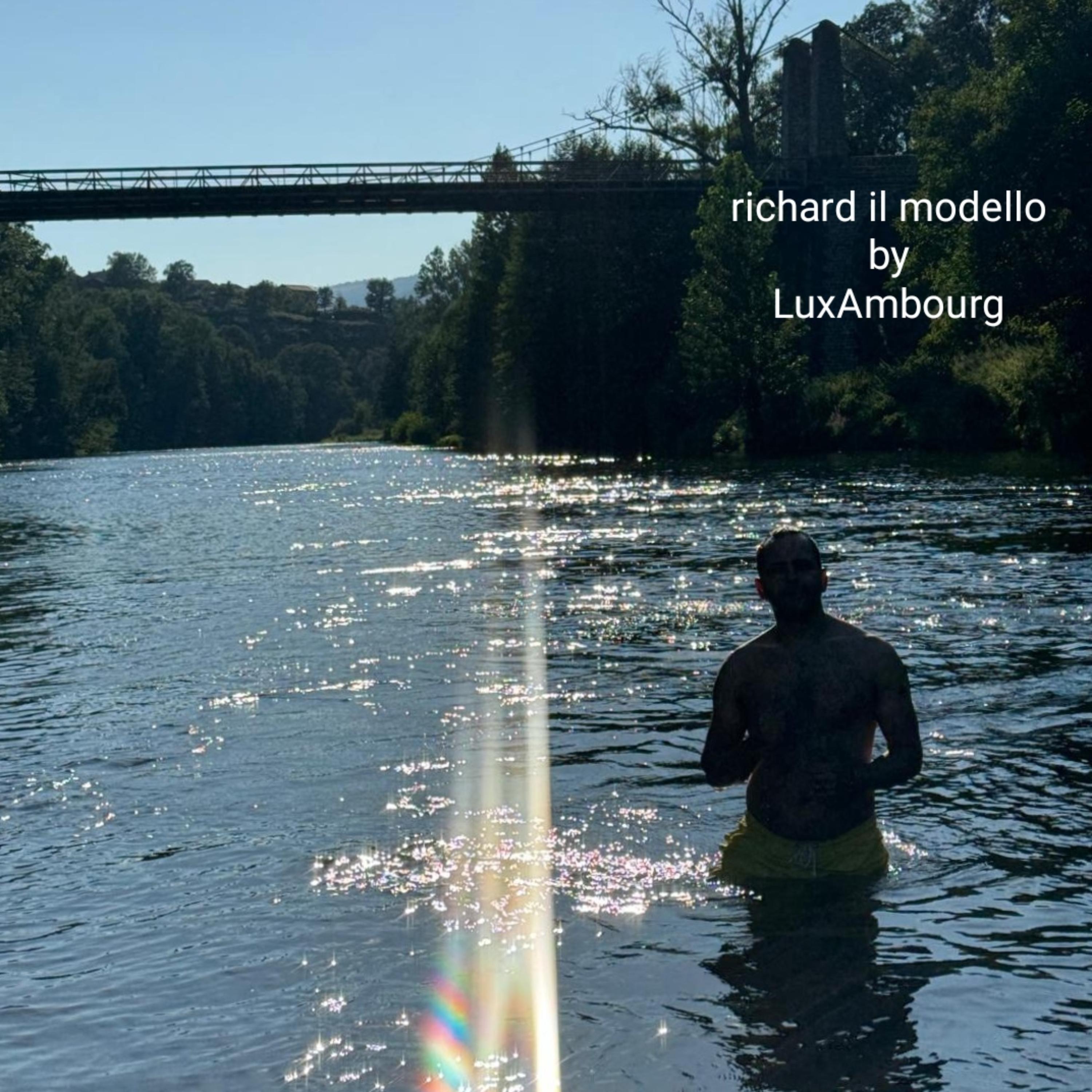 Richard il Modello artwork