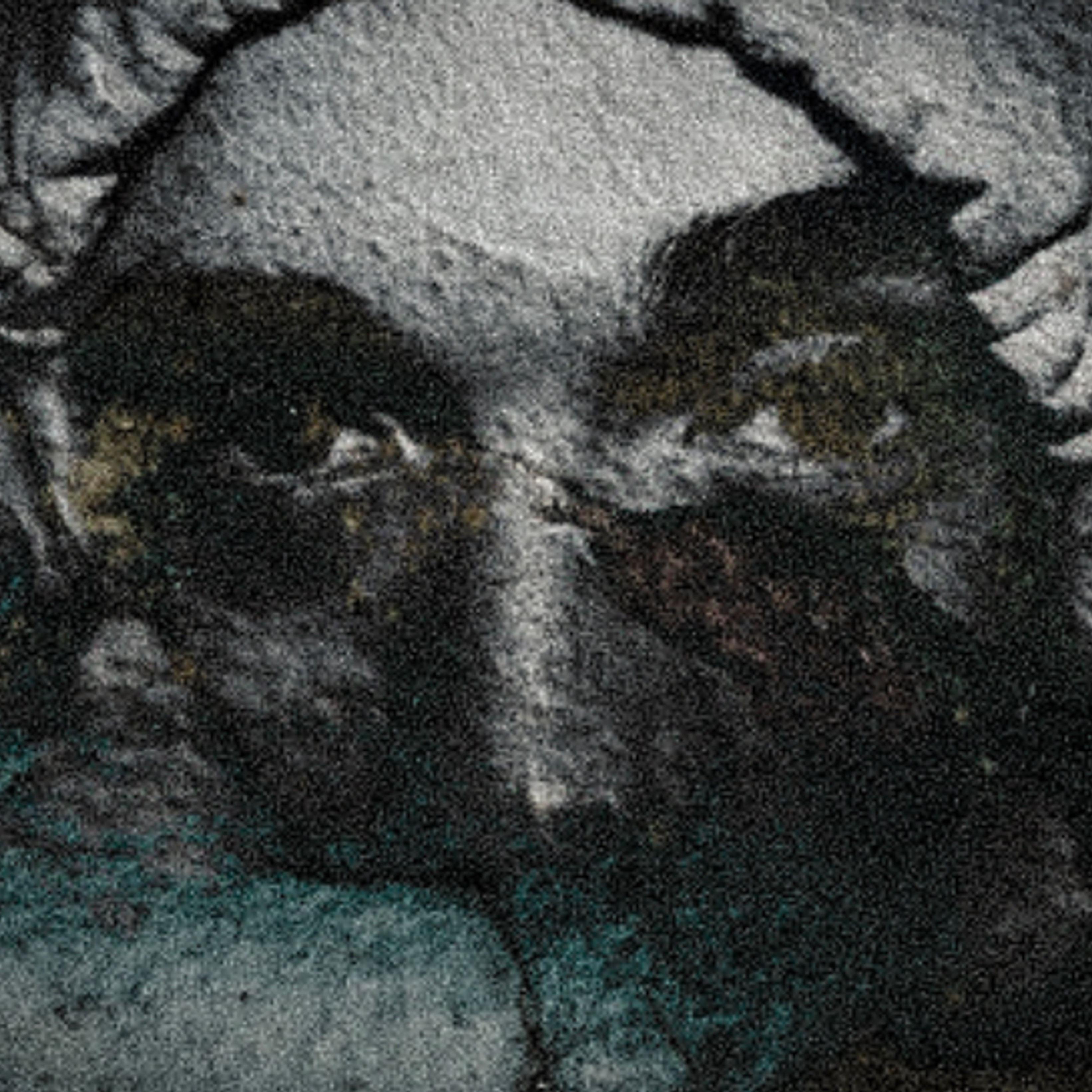 SpitFireGotCap artwork