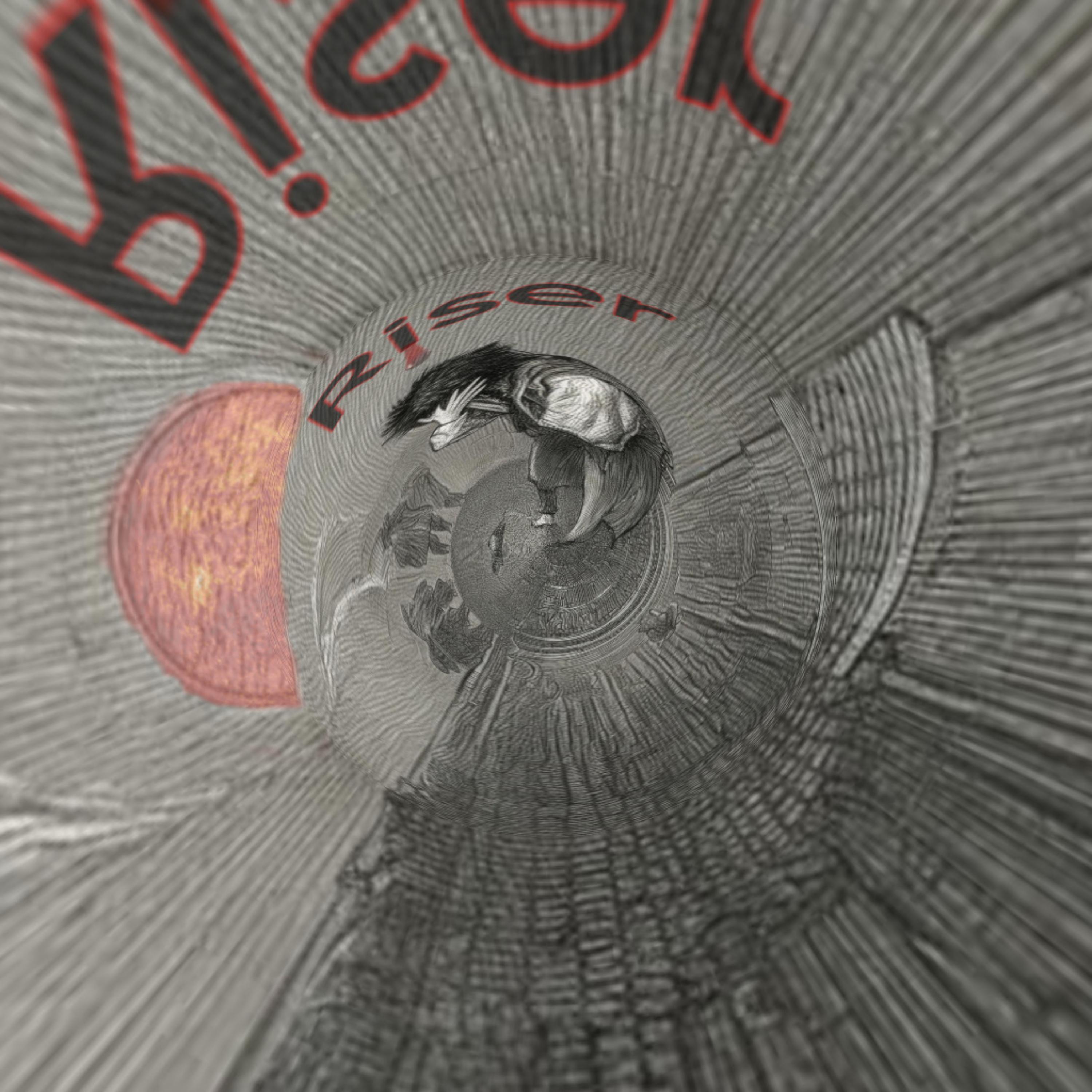 Riser artwork