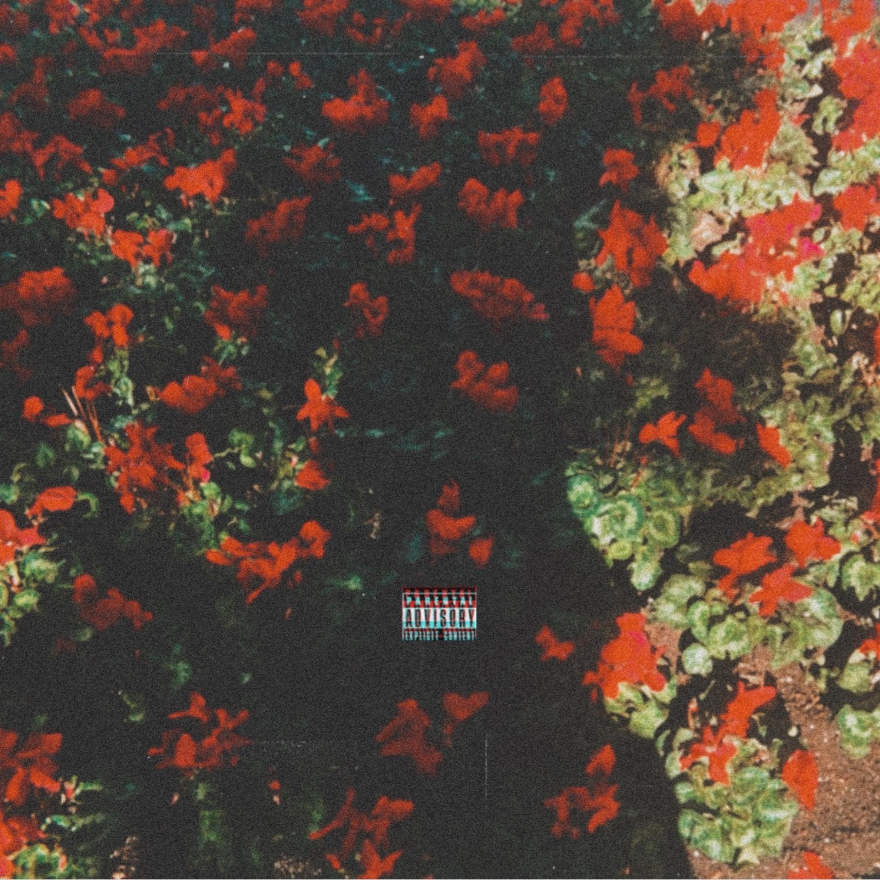 OCTOBERS LOVE artwork