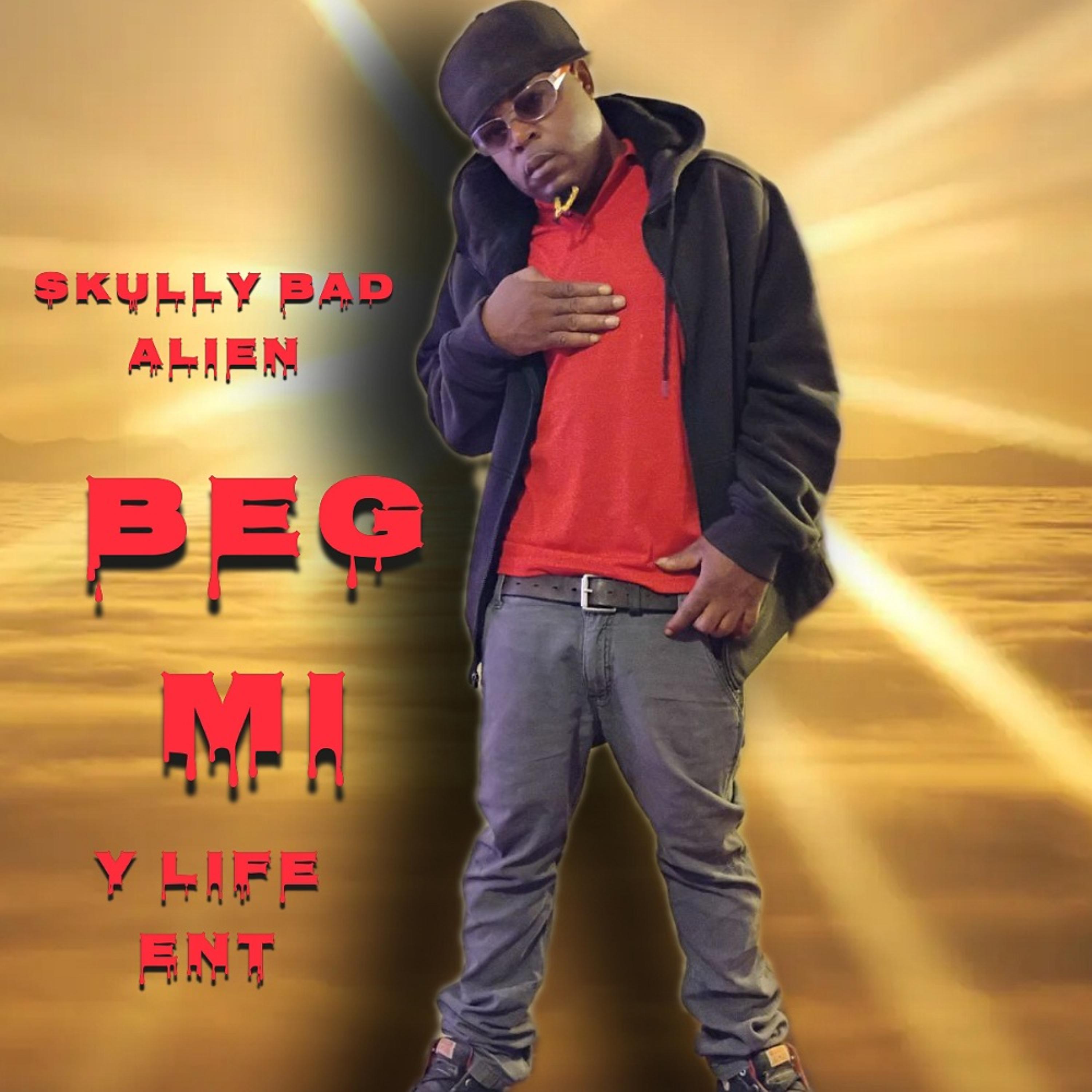 Beg mi artwork