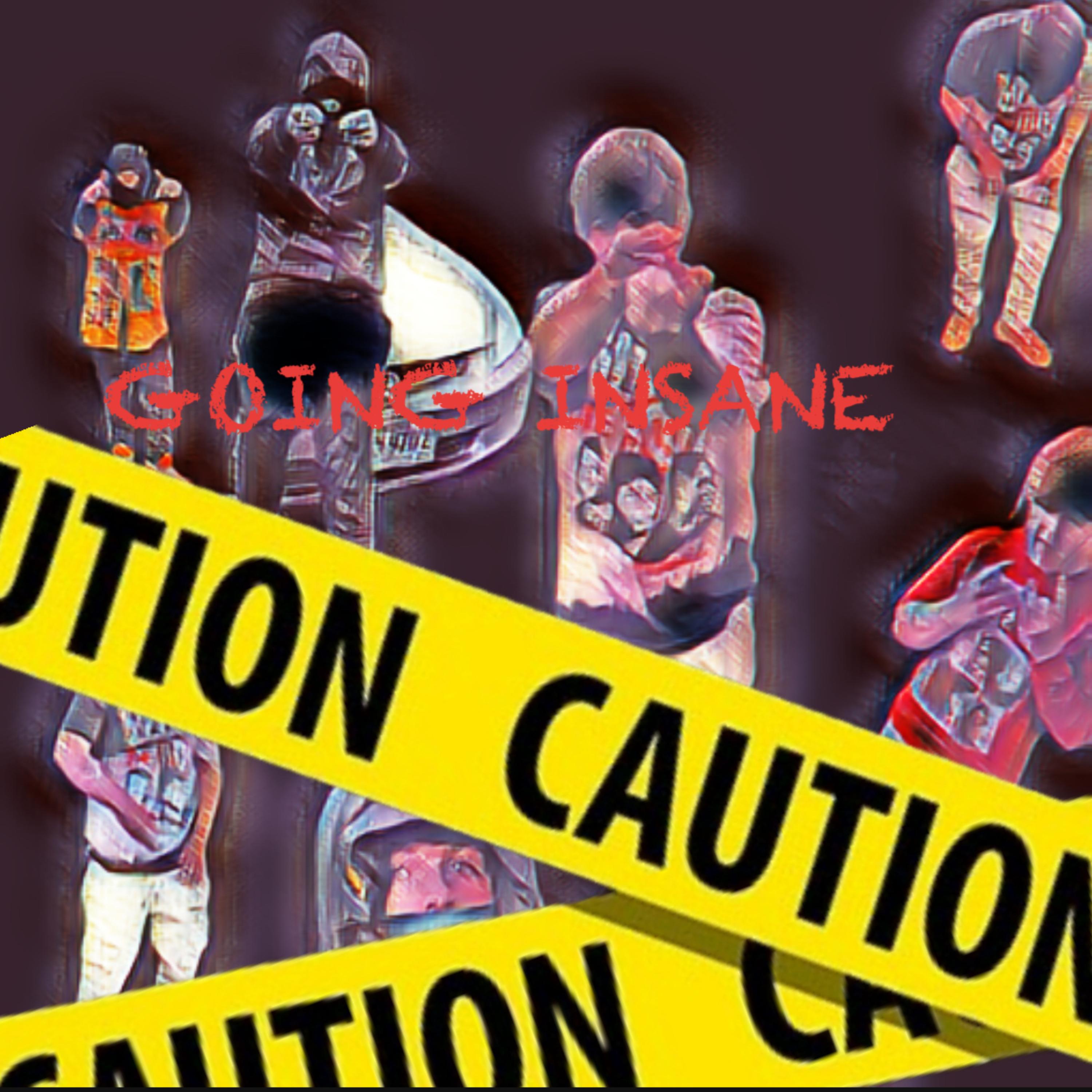 GOING INSANE artwork
