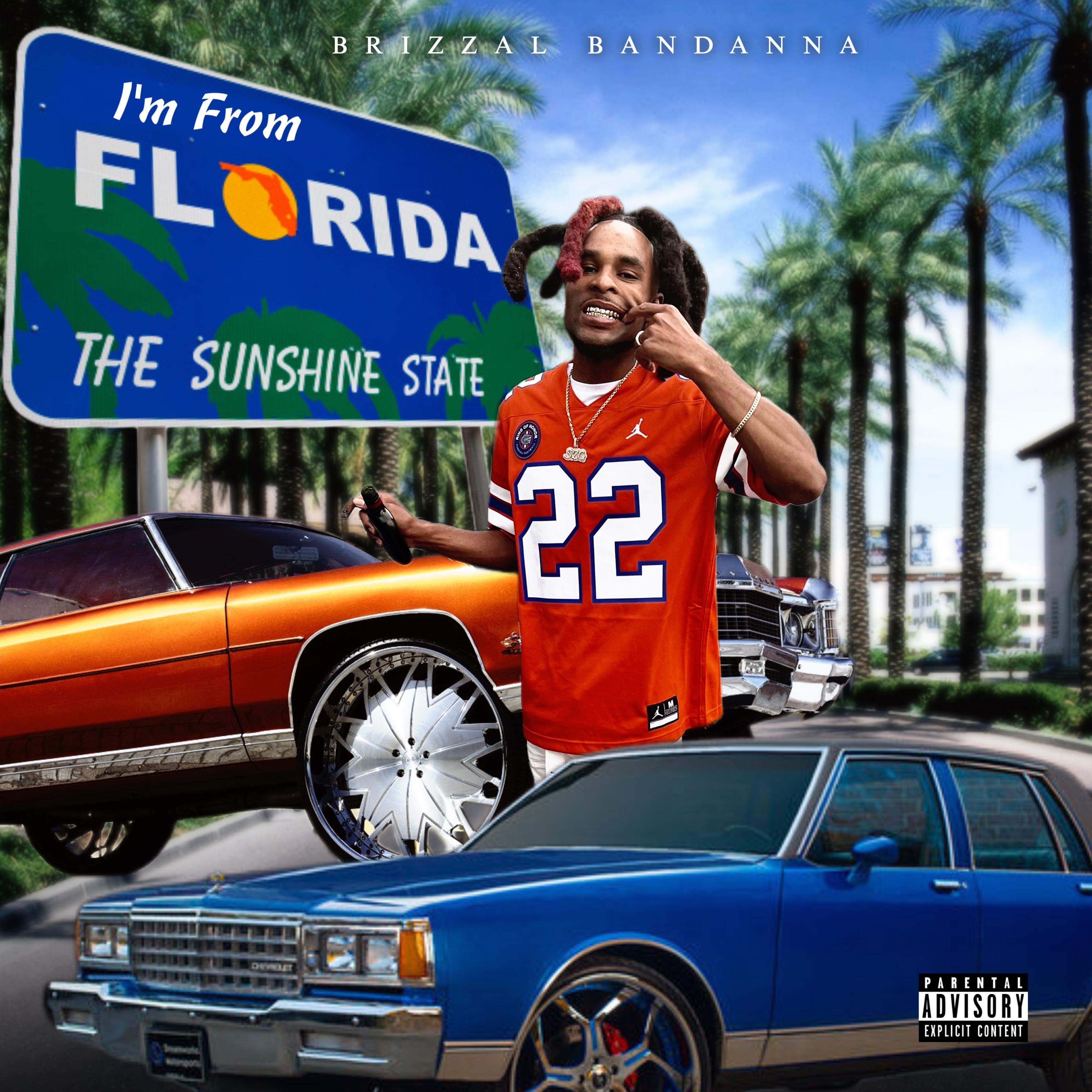 Im From Florida artwork