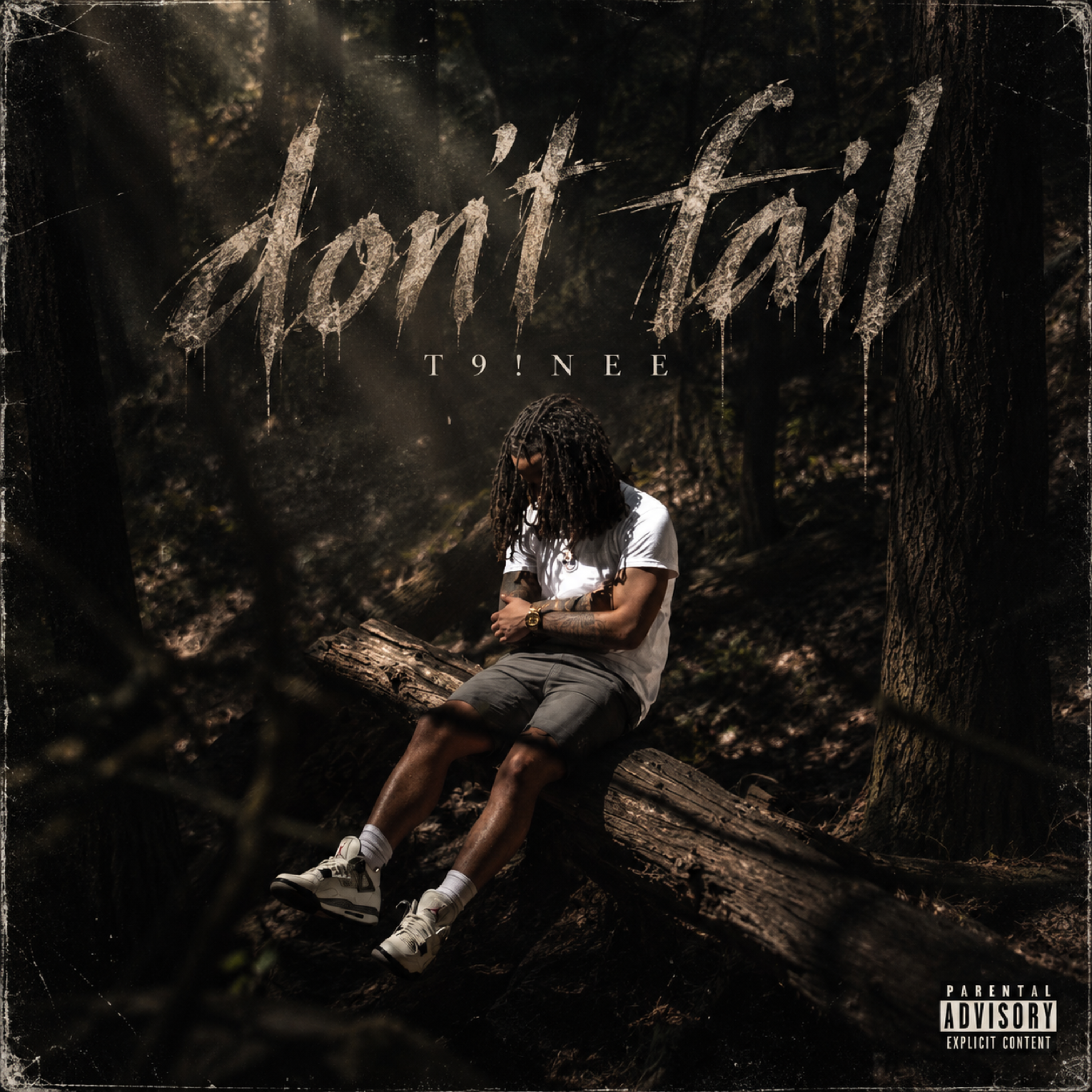 don’t fail by T9INEE cover art