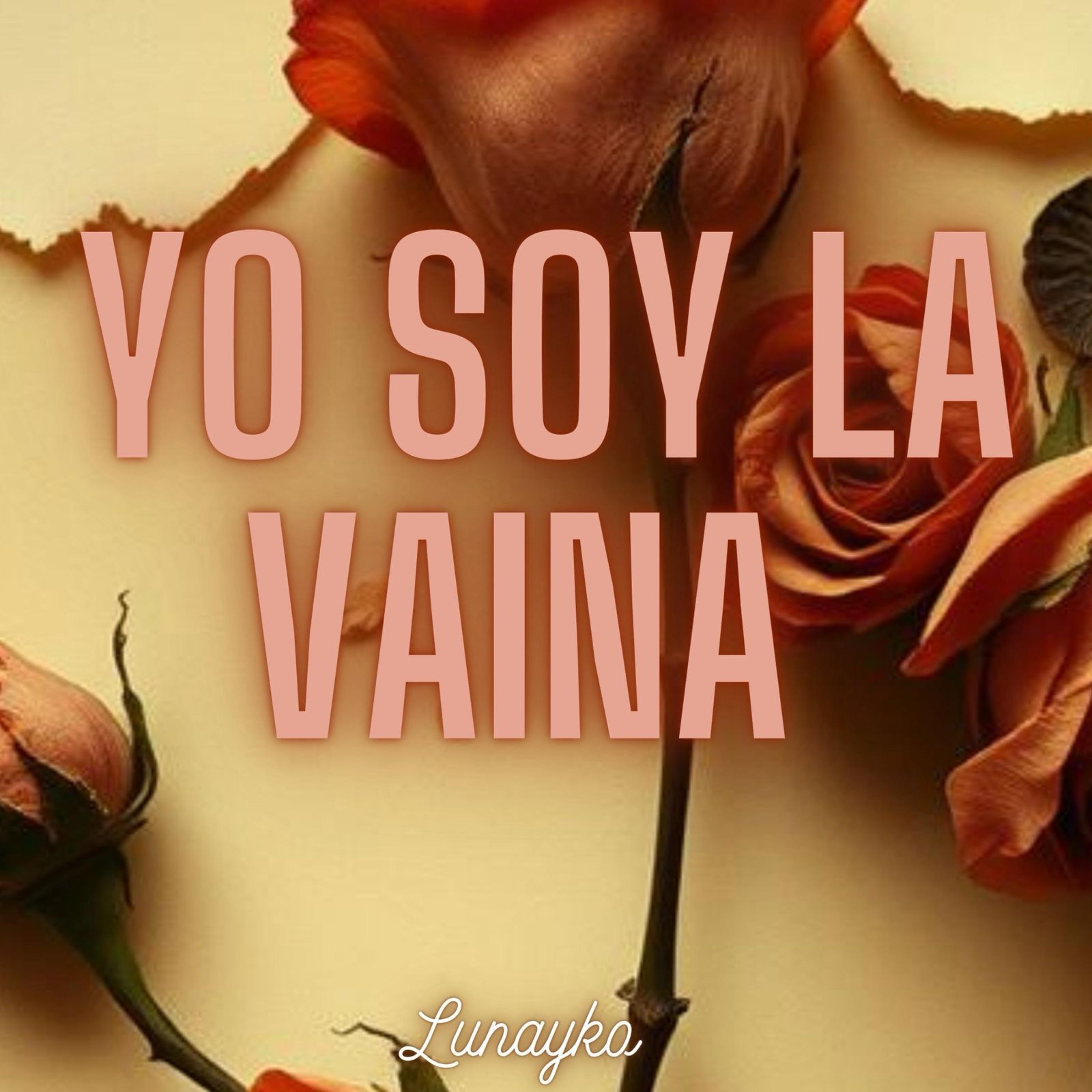 Yo Soy La Vaina artwork