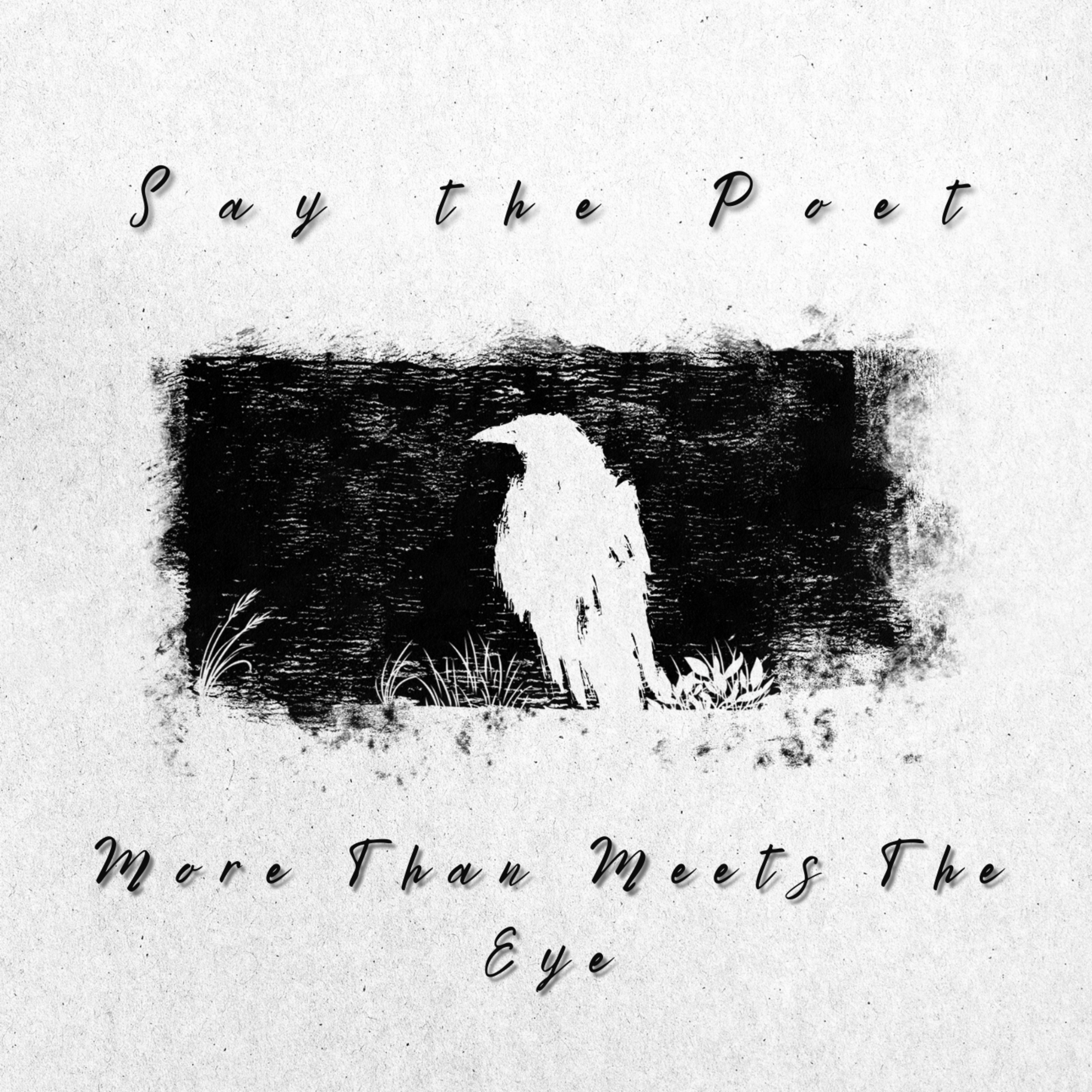 More Than Meets The Eye artwork
