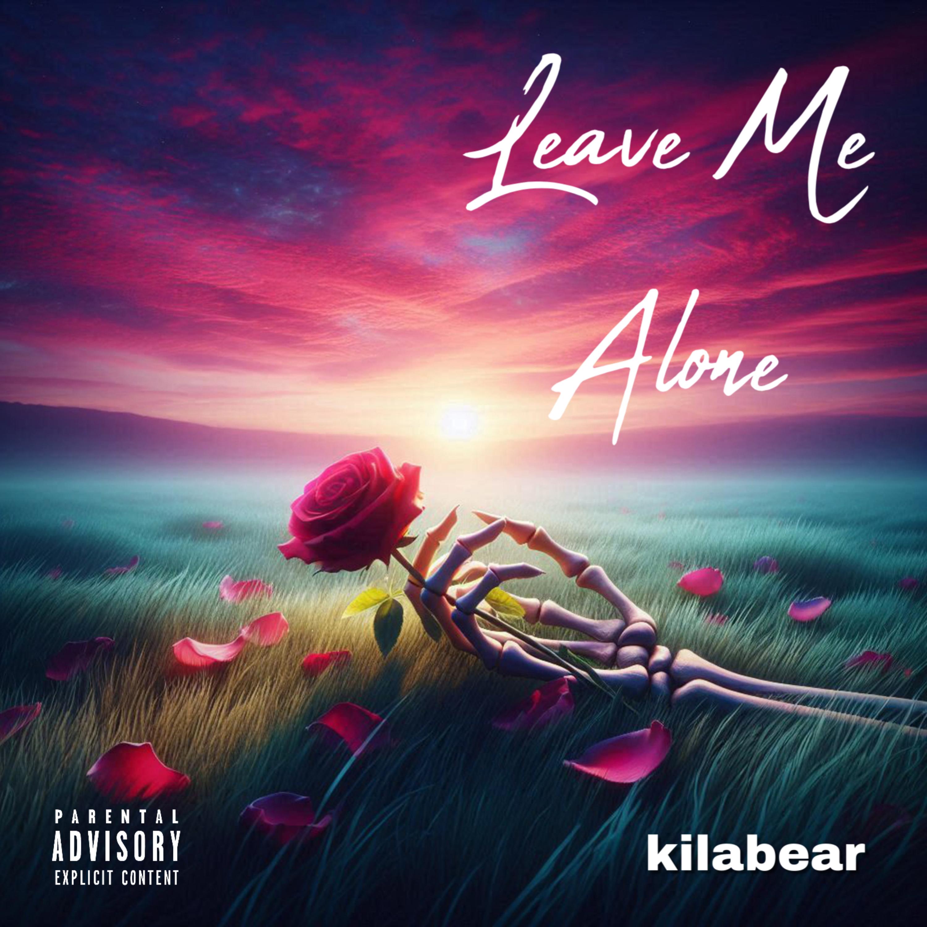 Leave Me Alone artwork