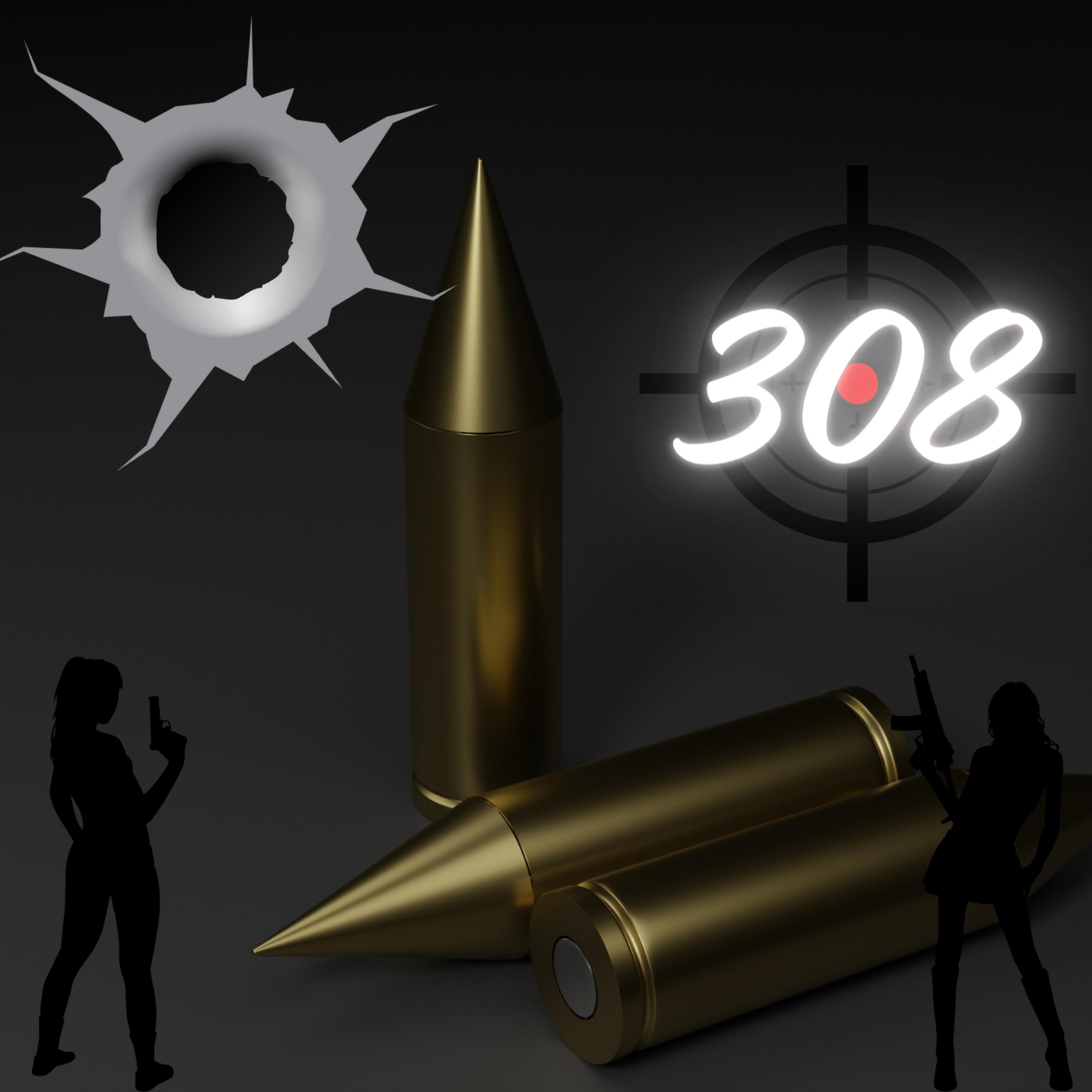 308 artwork
