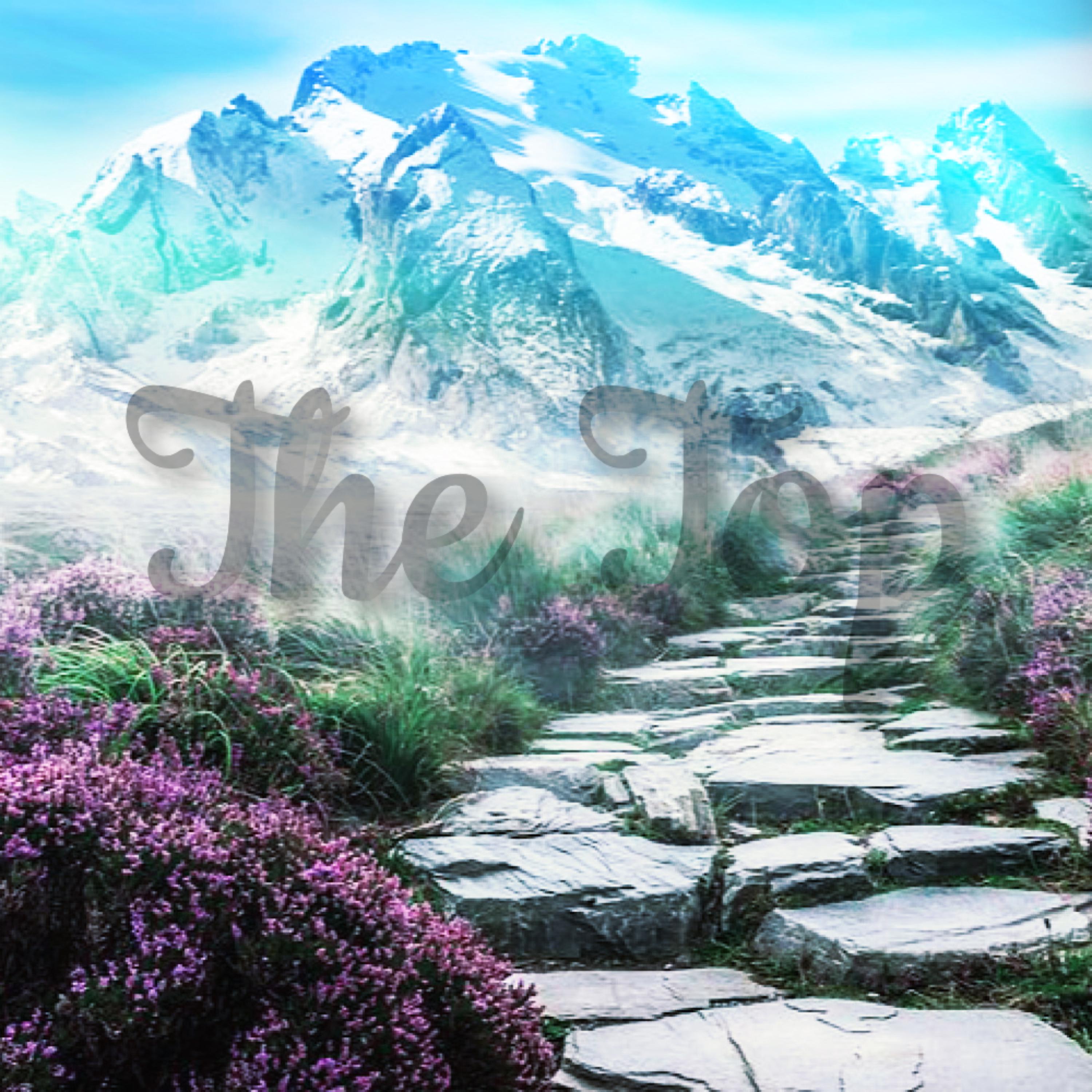 The Top artwork