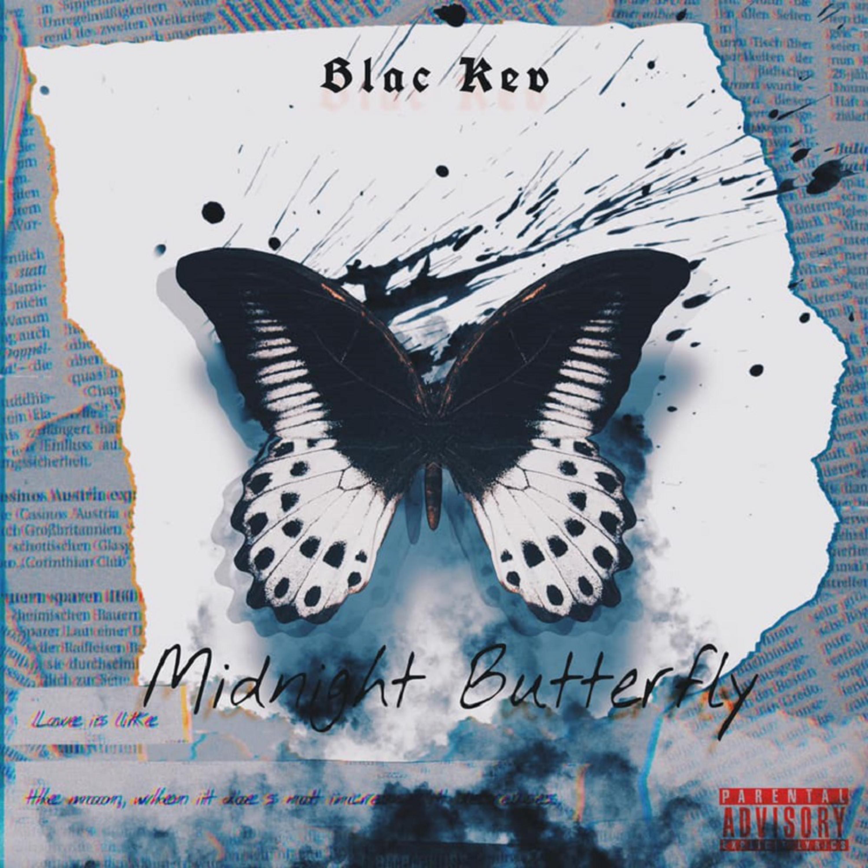 Midnight Butterfly artwork