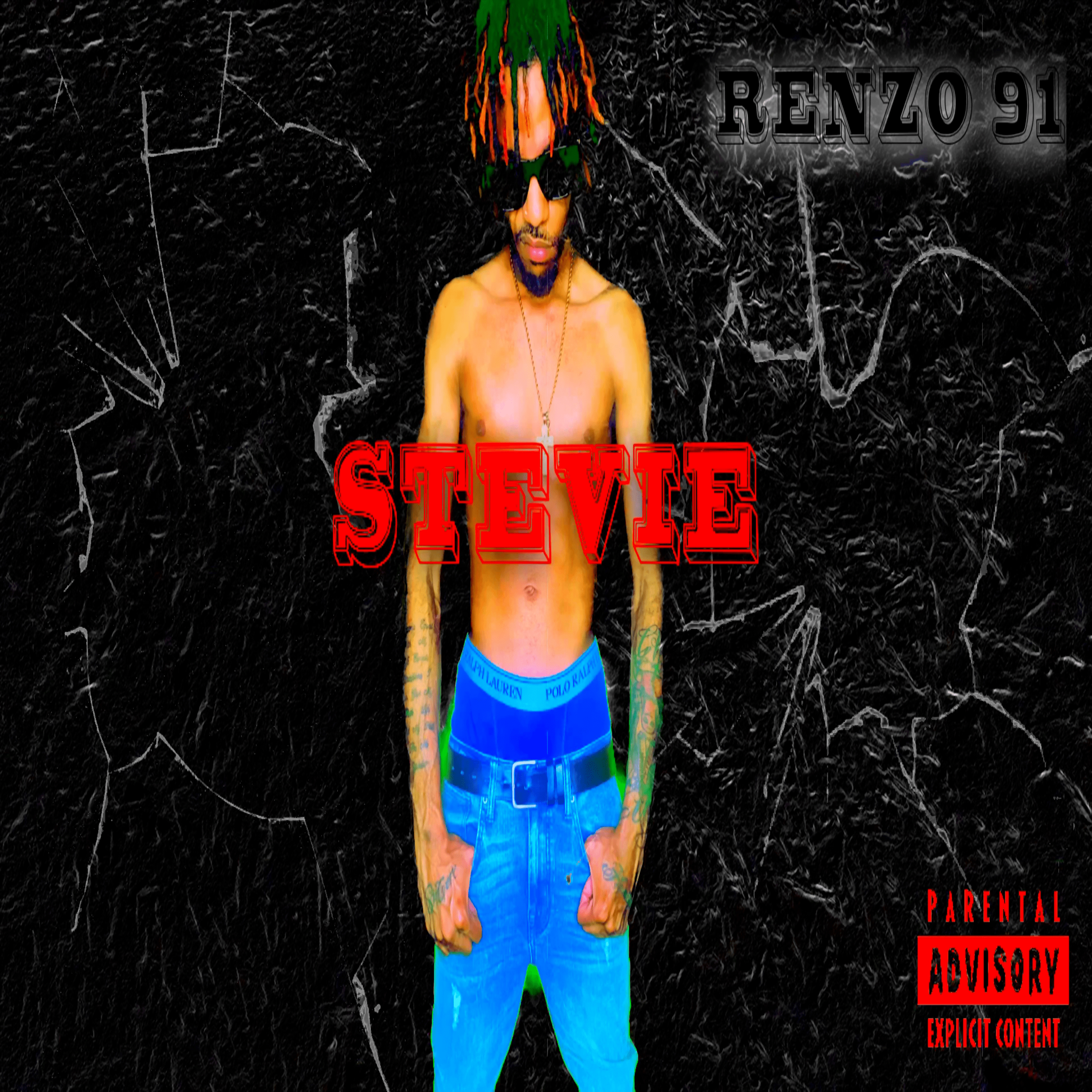 Stevie artwork