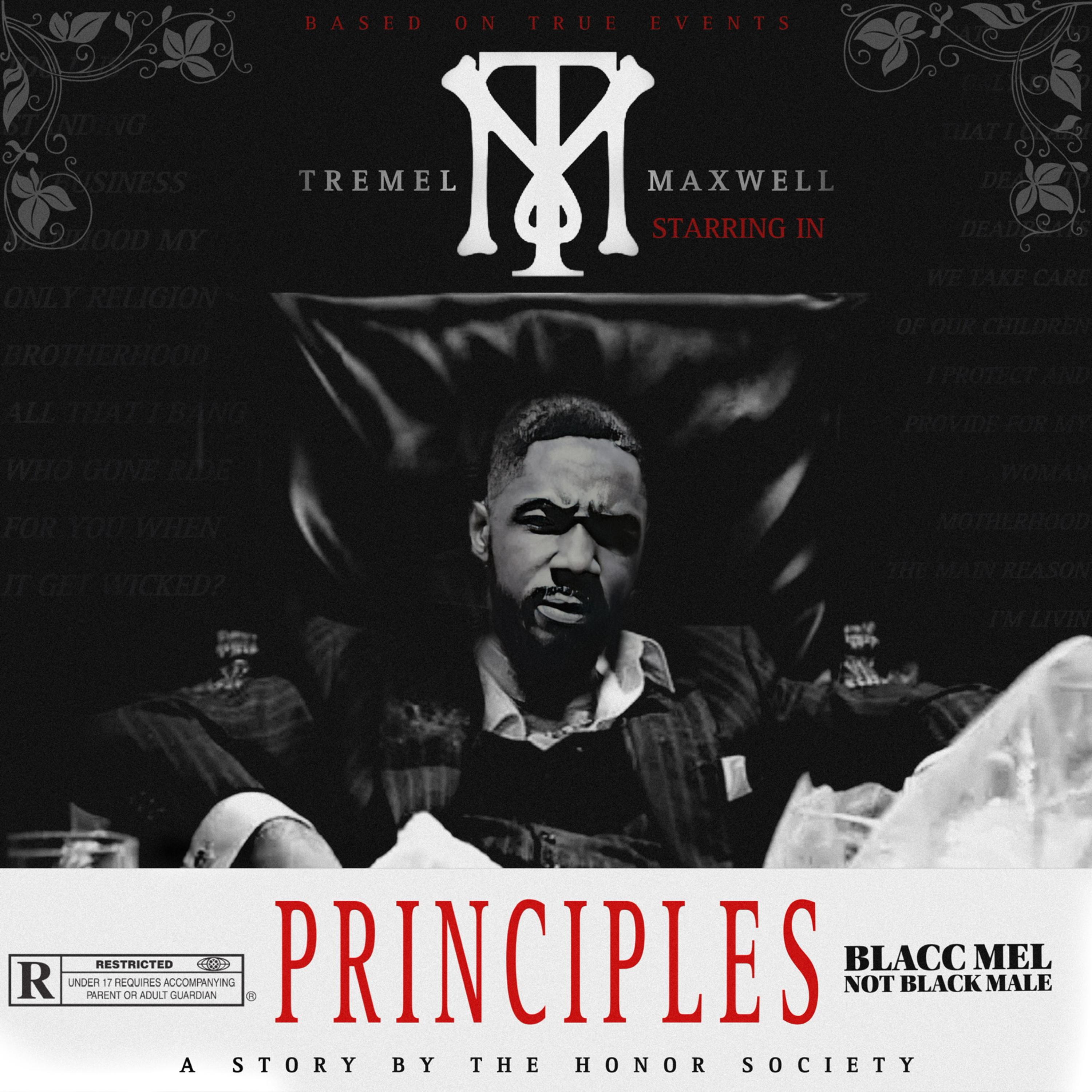 Principles artwork