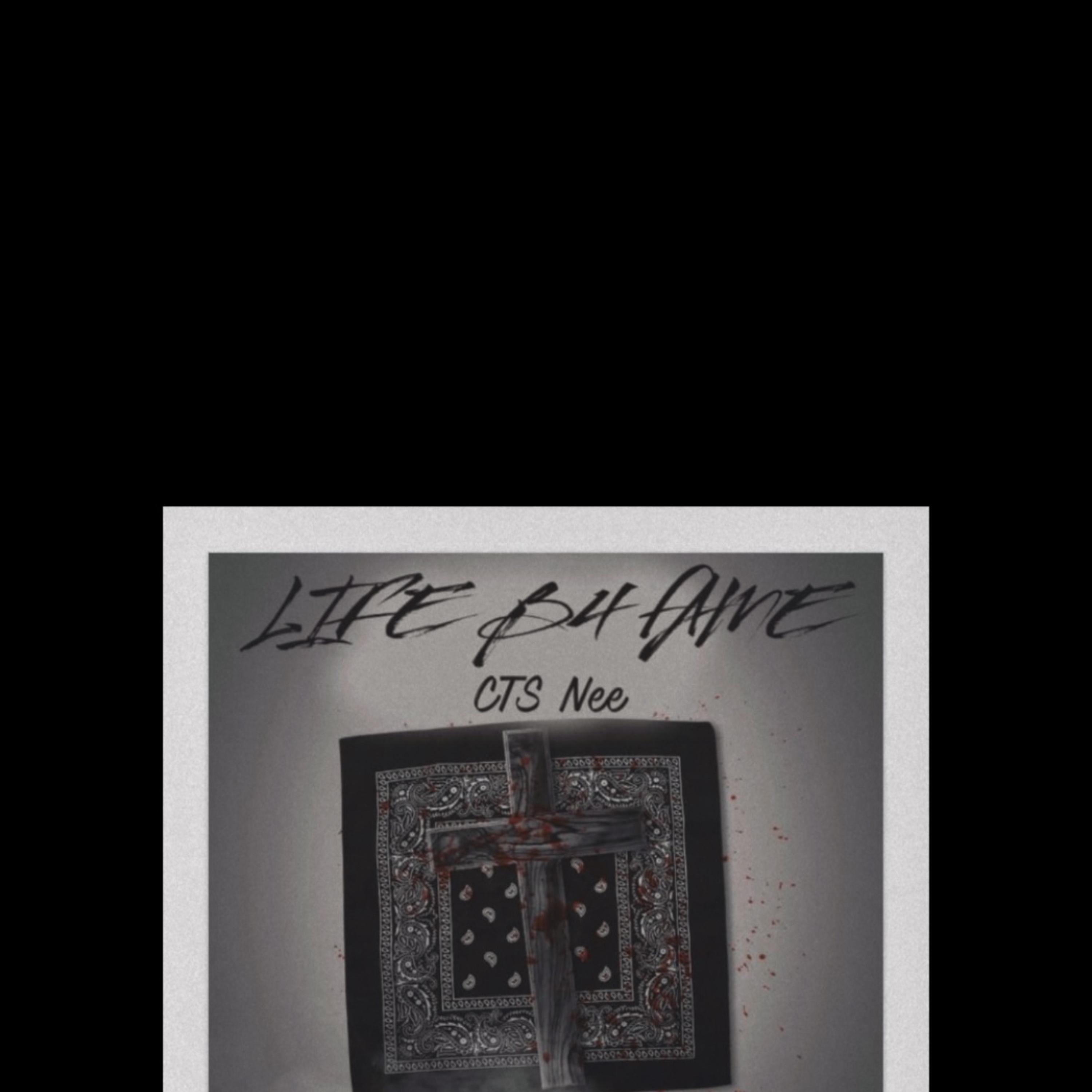 Life B4 Fame artwork