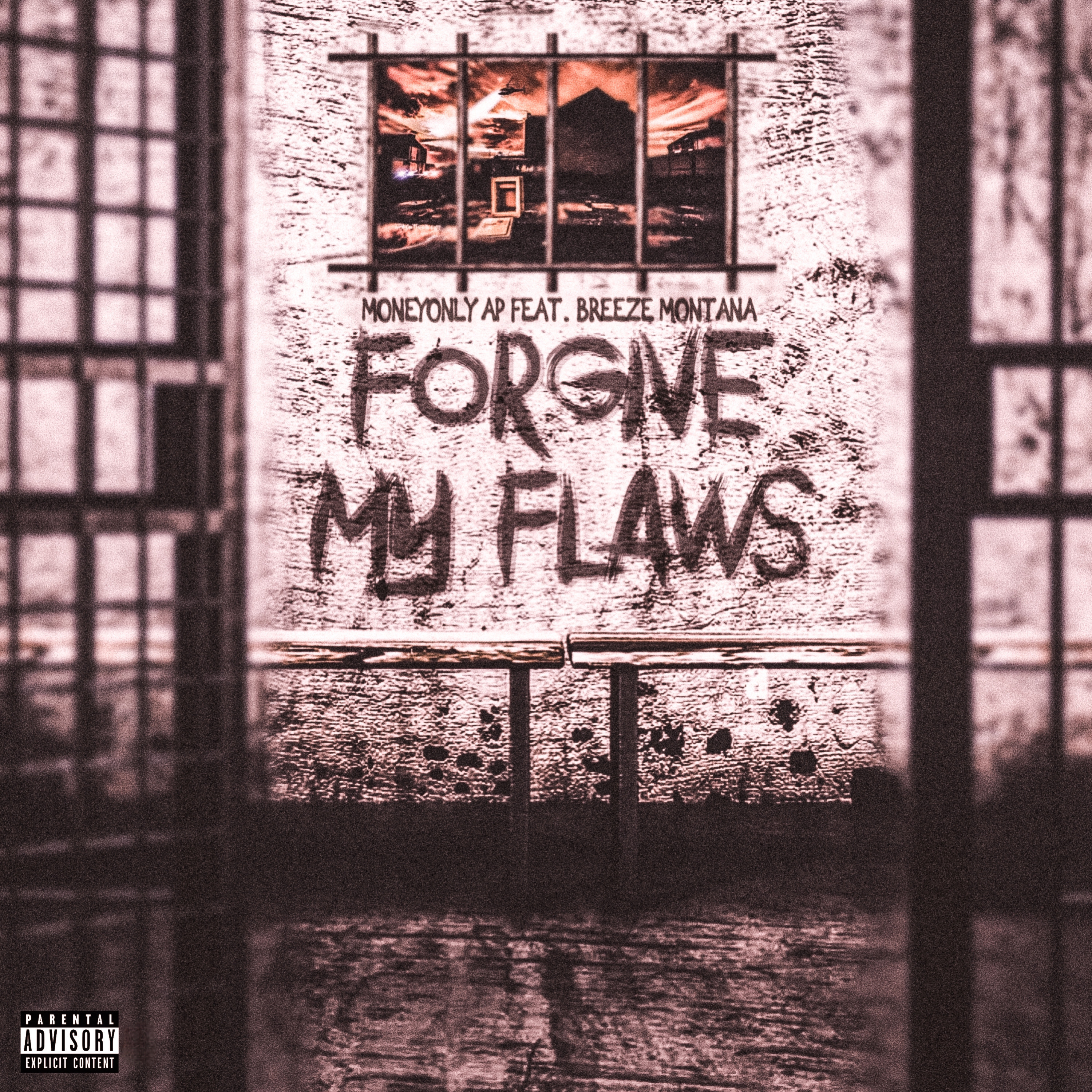 Forgive My Flaws artwork