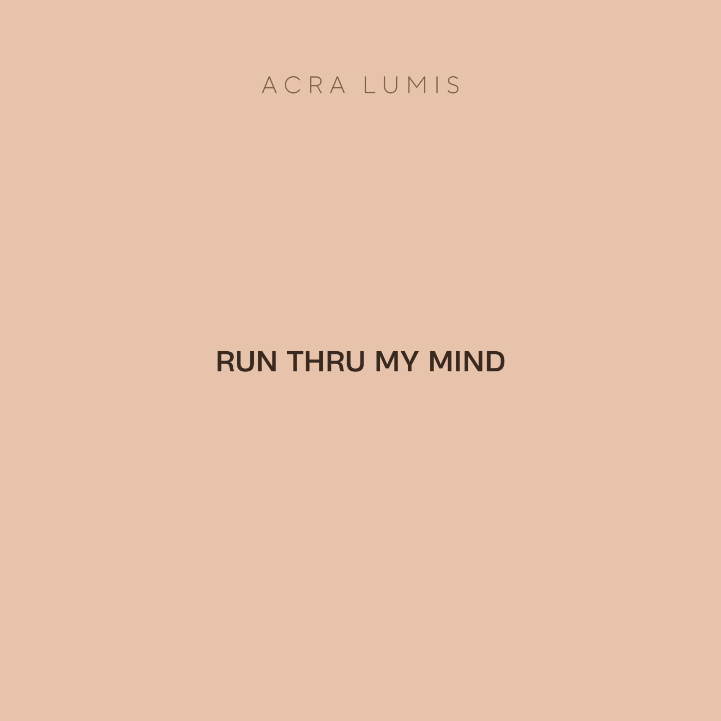 RUN THRU MY MIND artwork