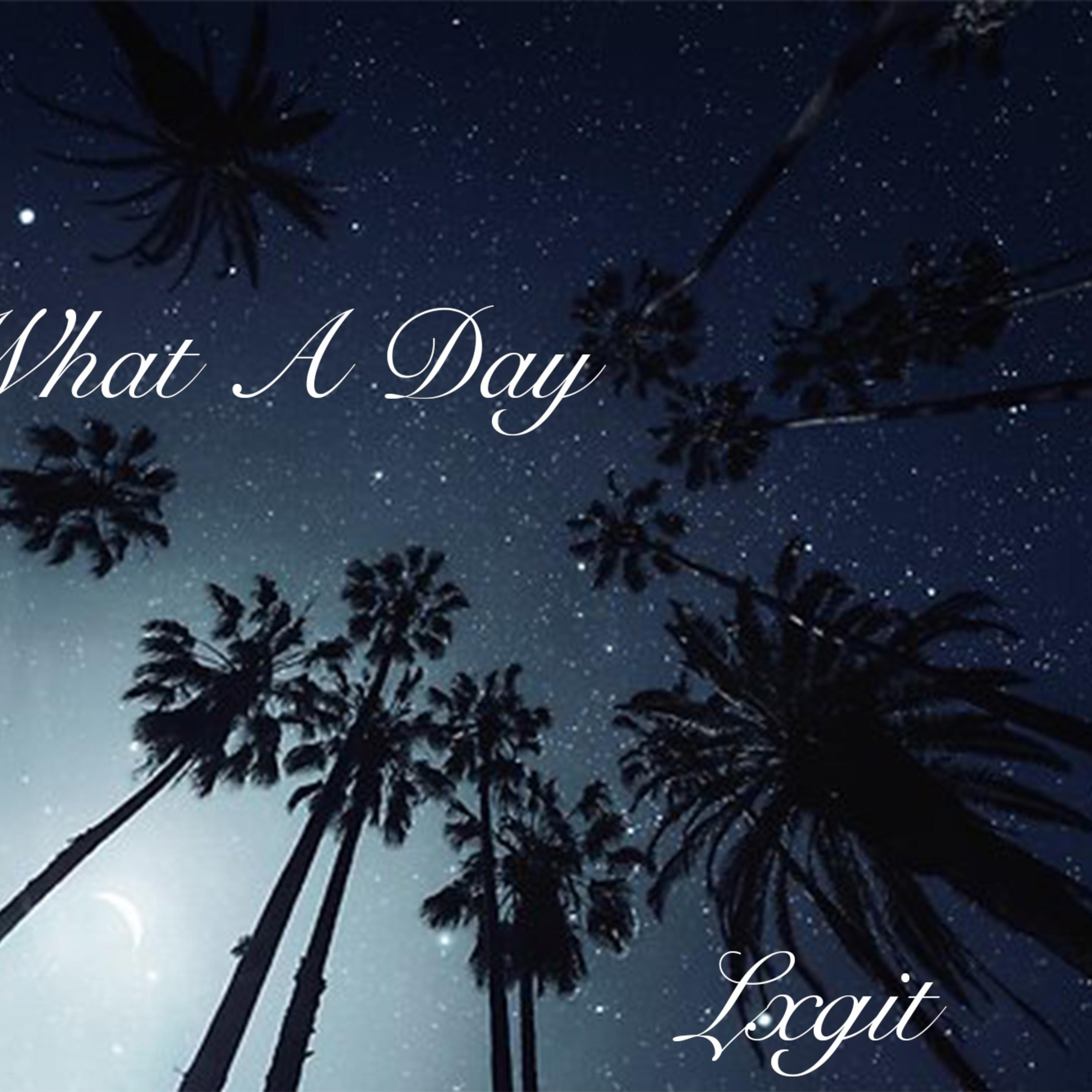 WHAT A DAY' by LXGIT cover art