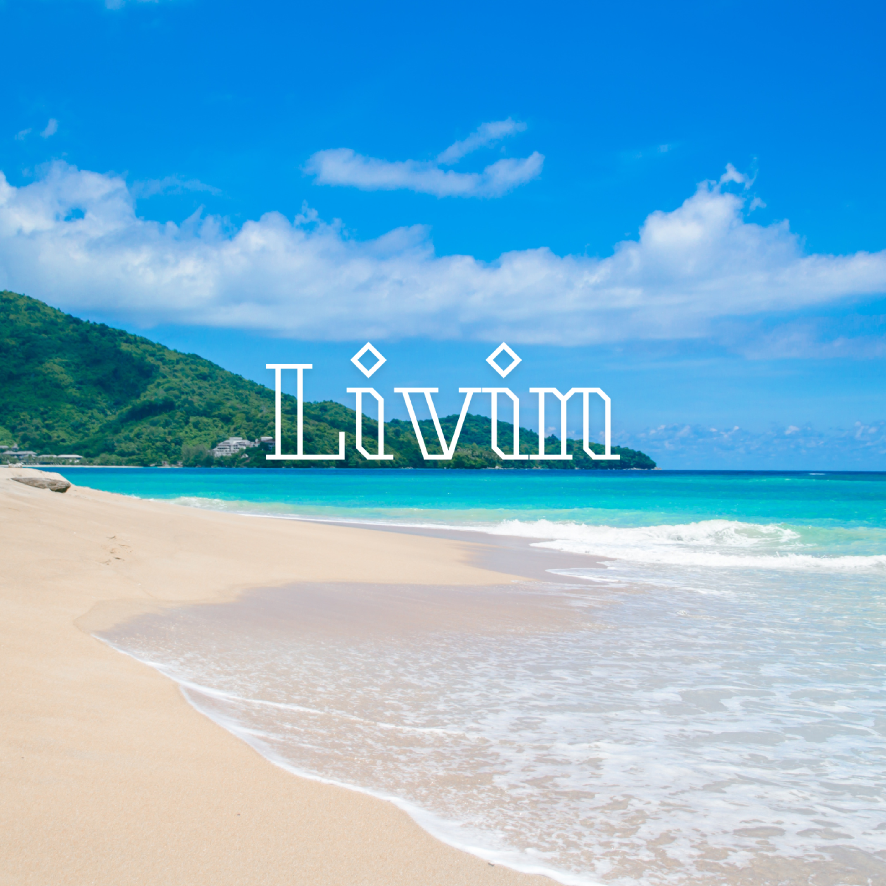 Livin artwork