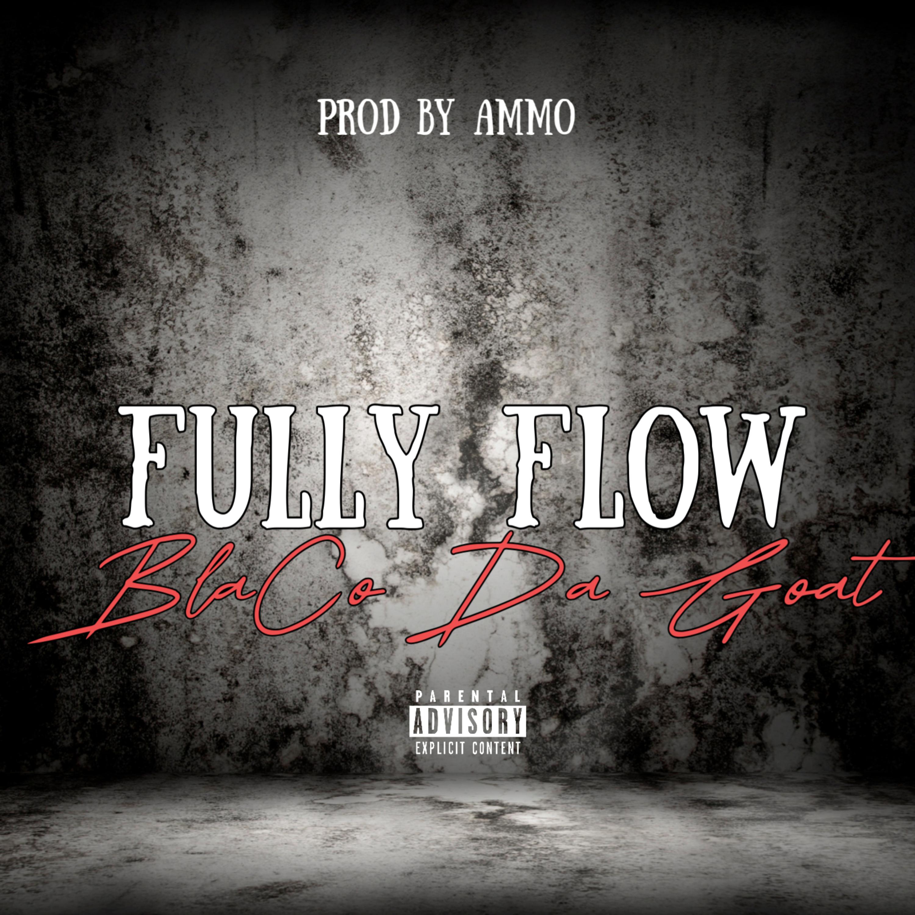 Fully Flow artwork