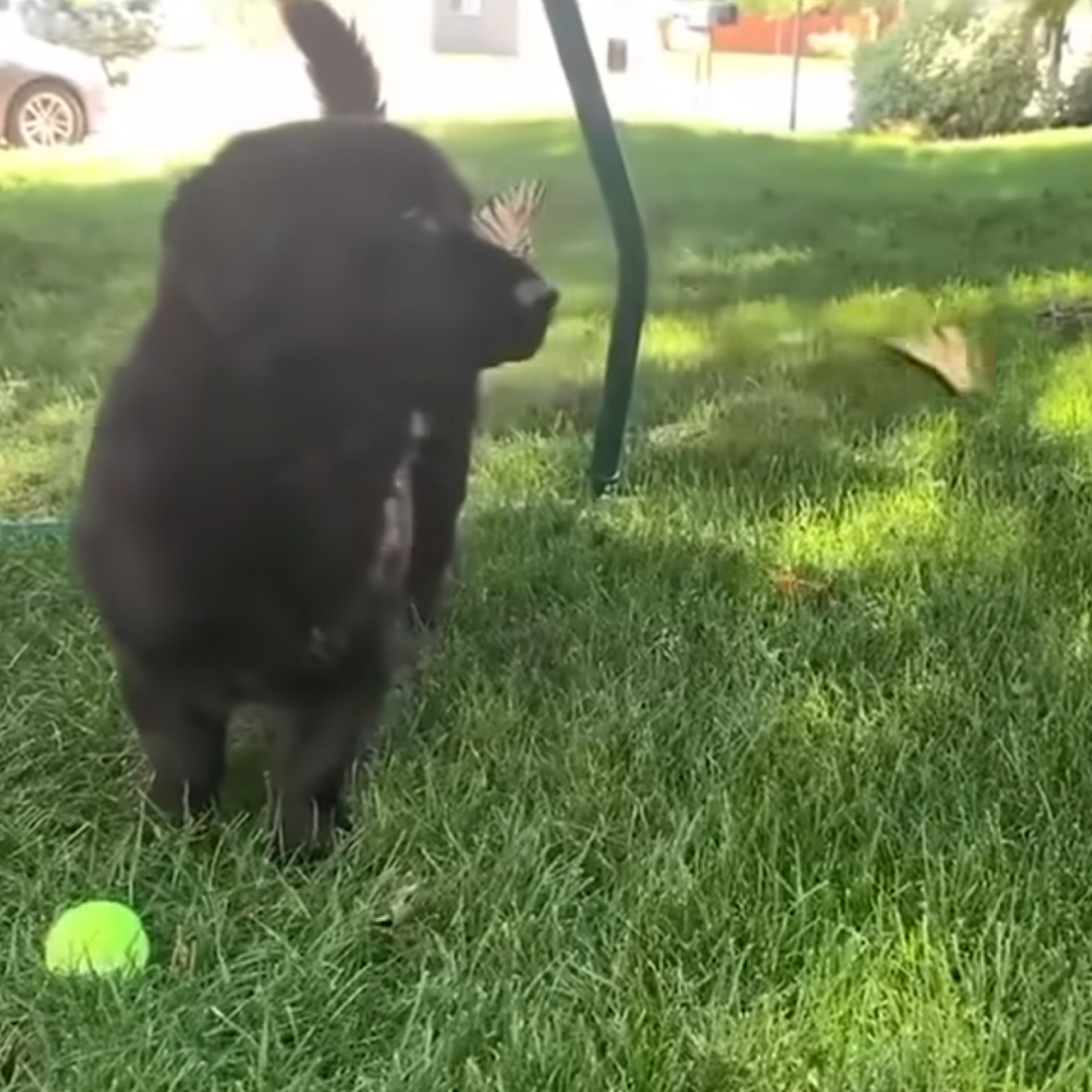 Life Is Great artwork