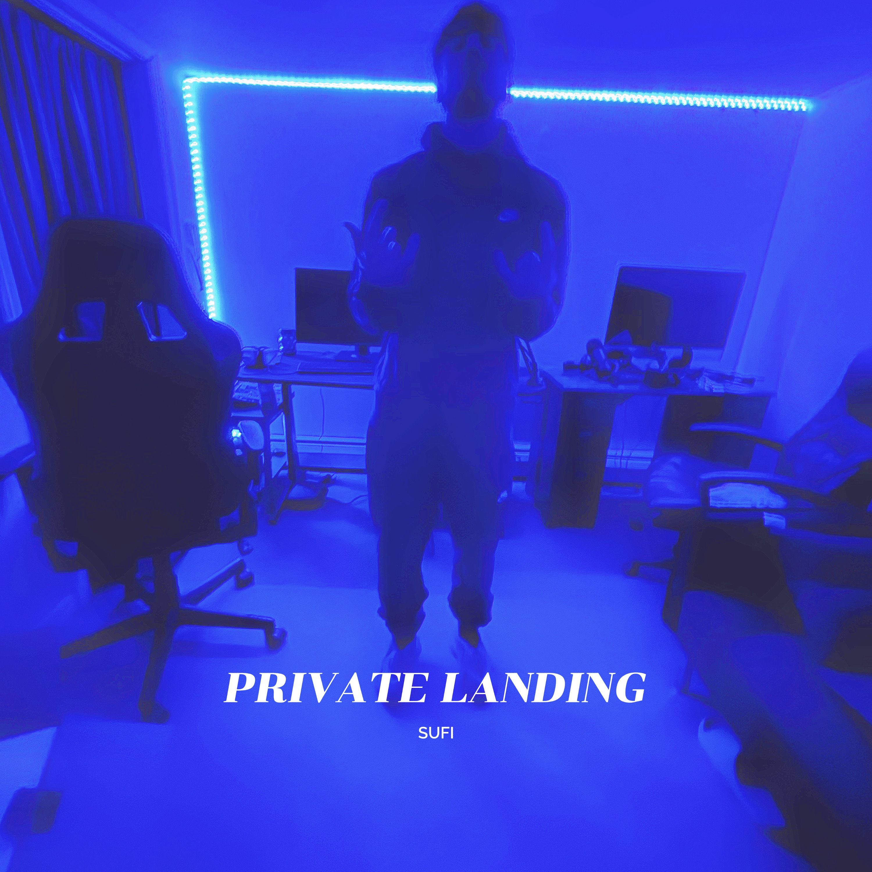 PRIVATE LANDING artwork