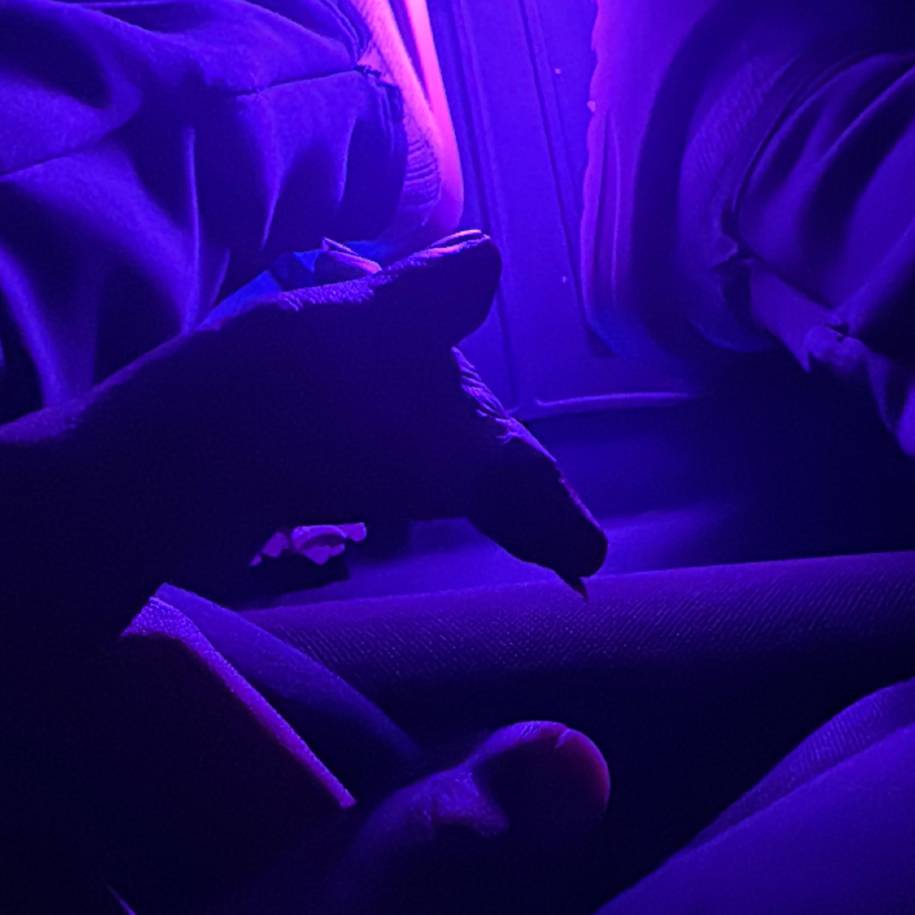 Bite It artwork