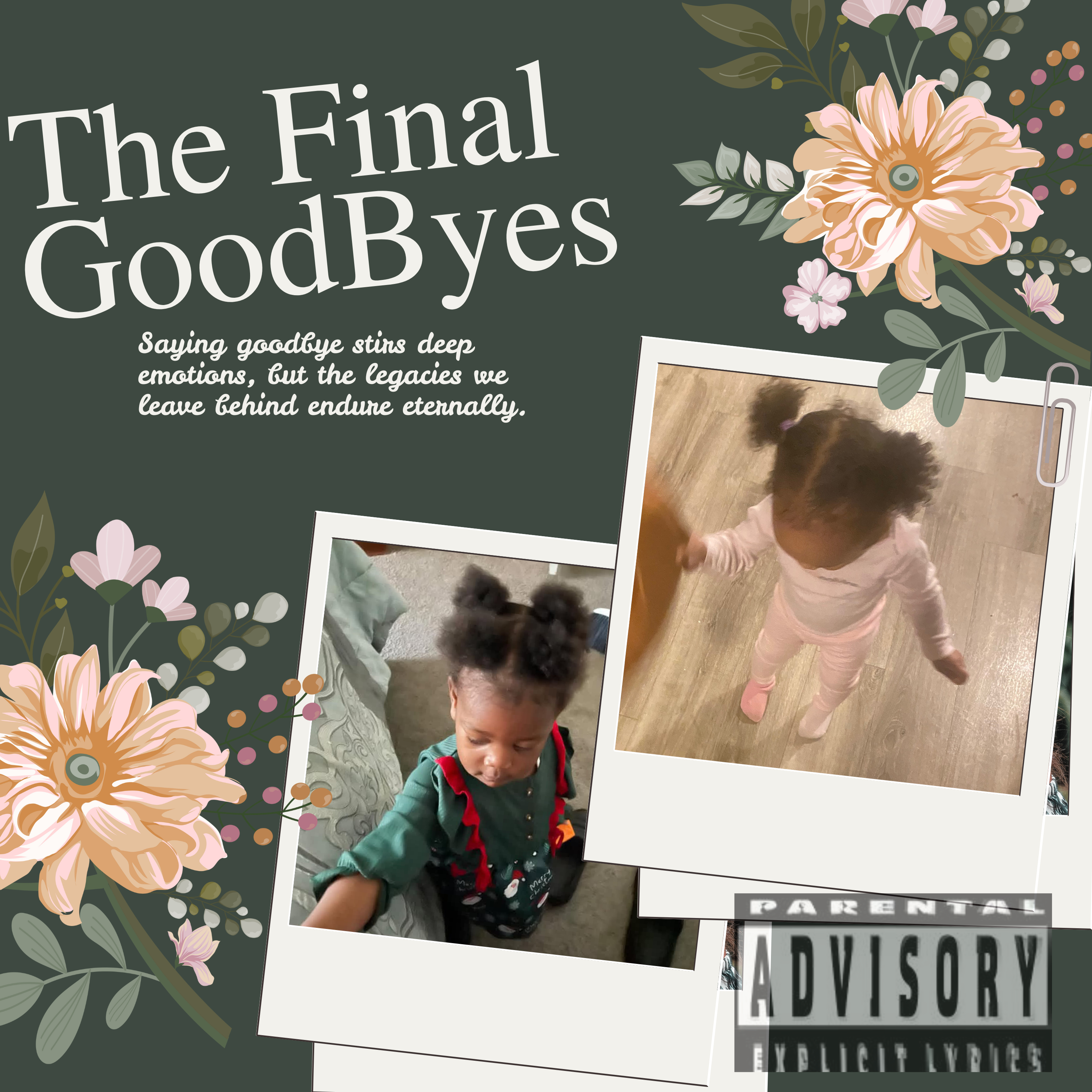 The Final Goodbyes artwork