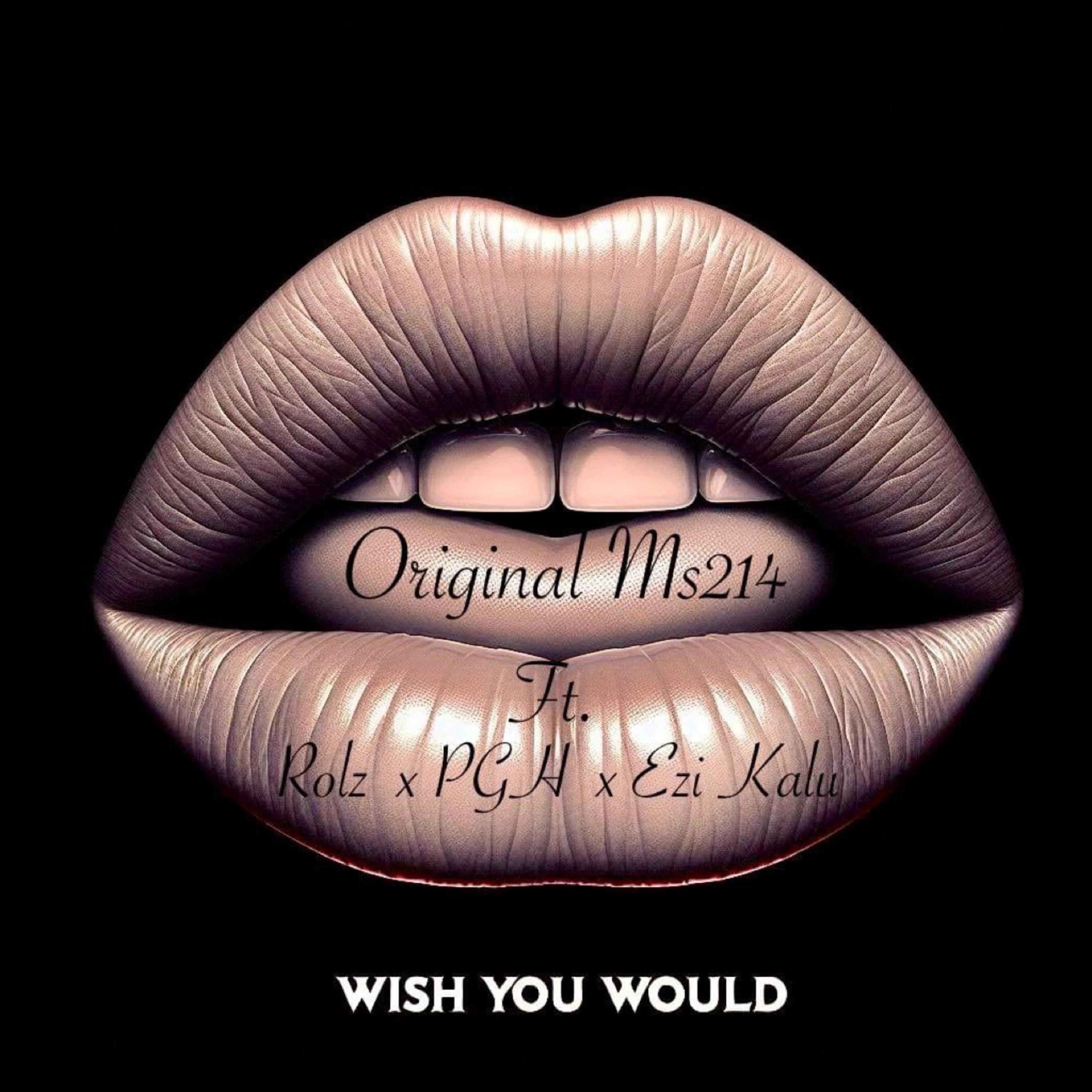 Wish You Would artwork