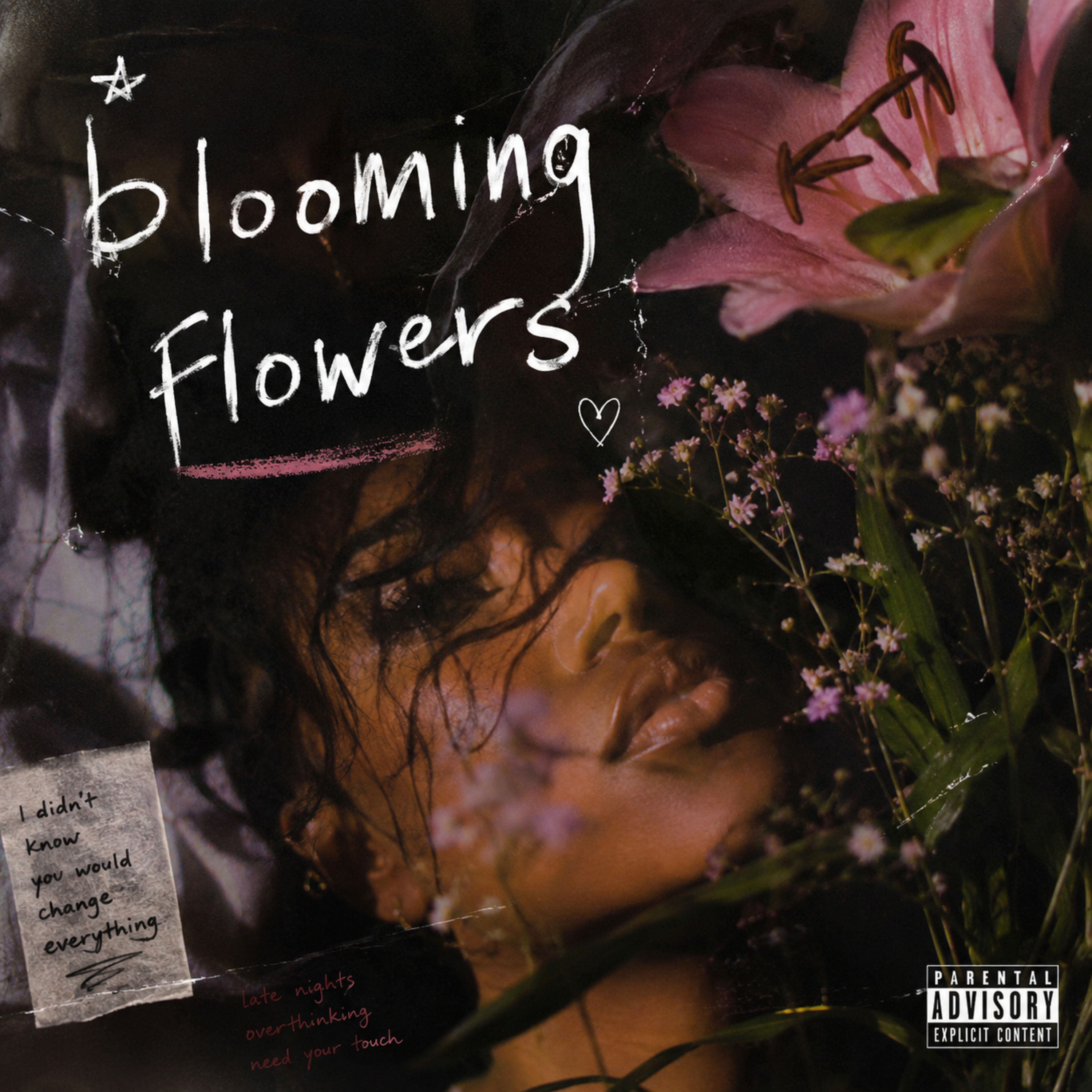 Blooming Flowers by Aaron Kinnemore cover art