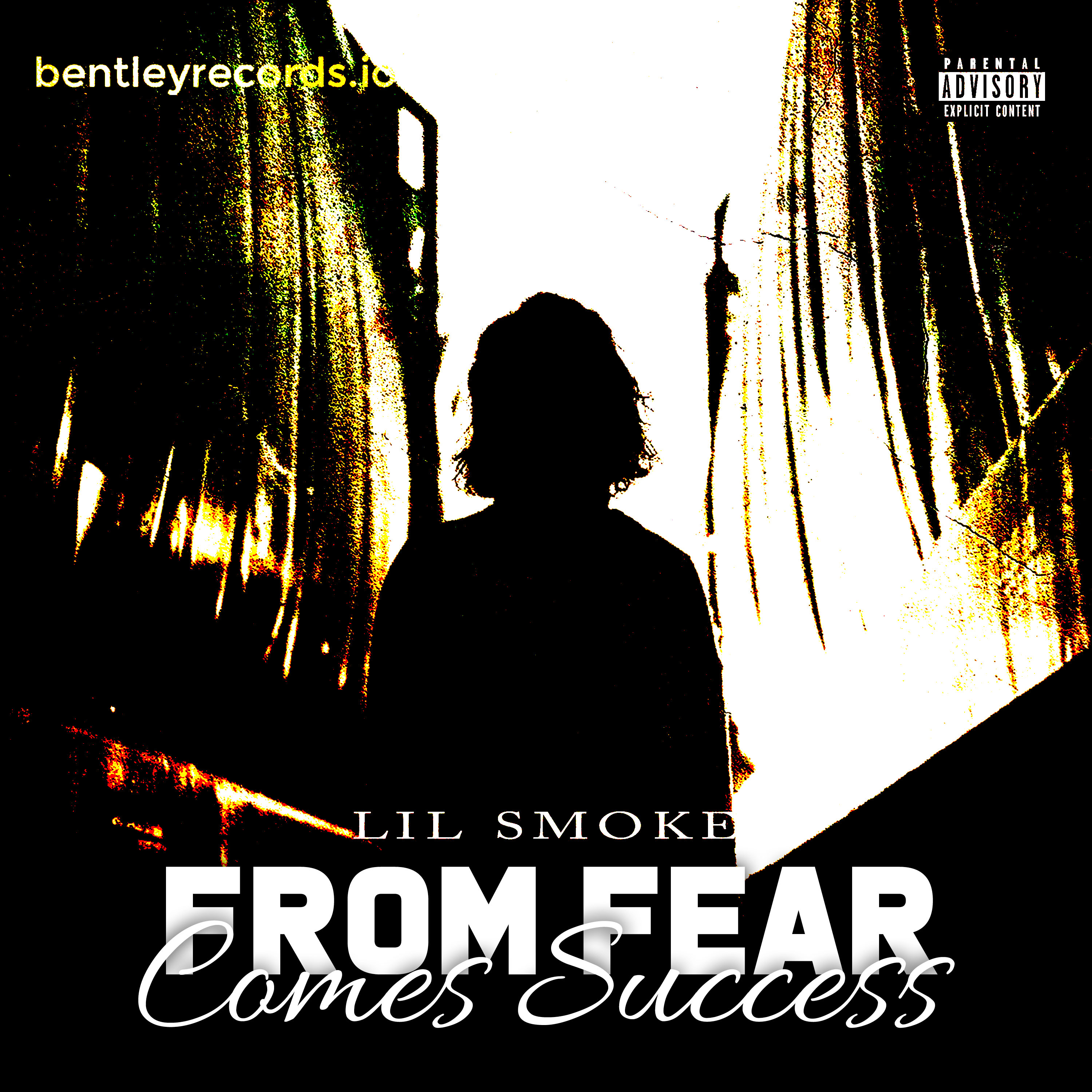 From Fear Comes Success artwork