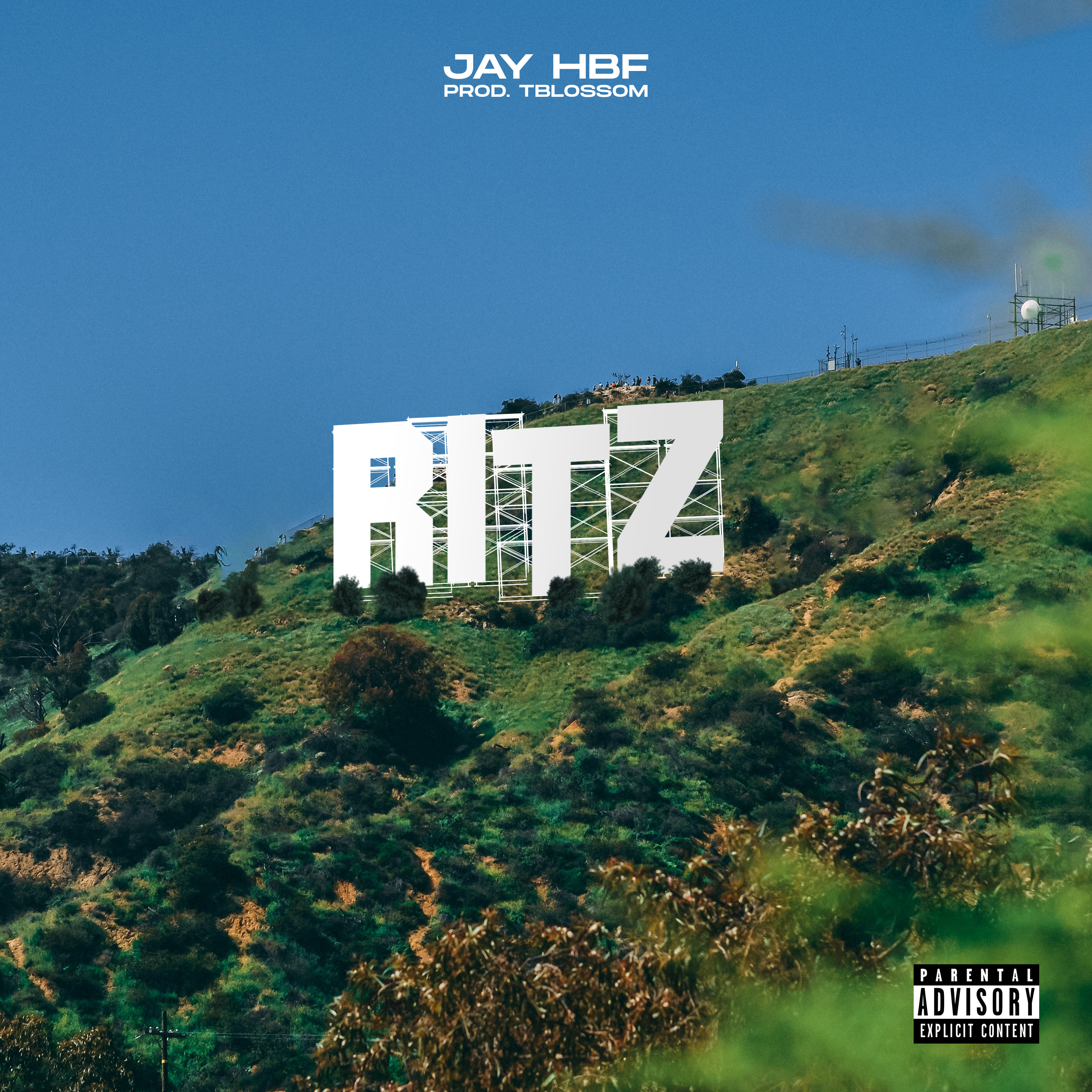 Ritz (That or This) by Jay HBF cover art