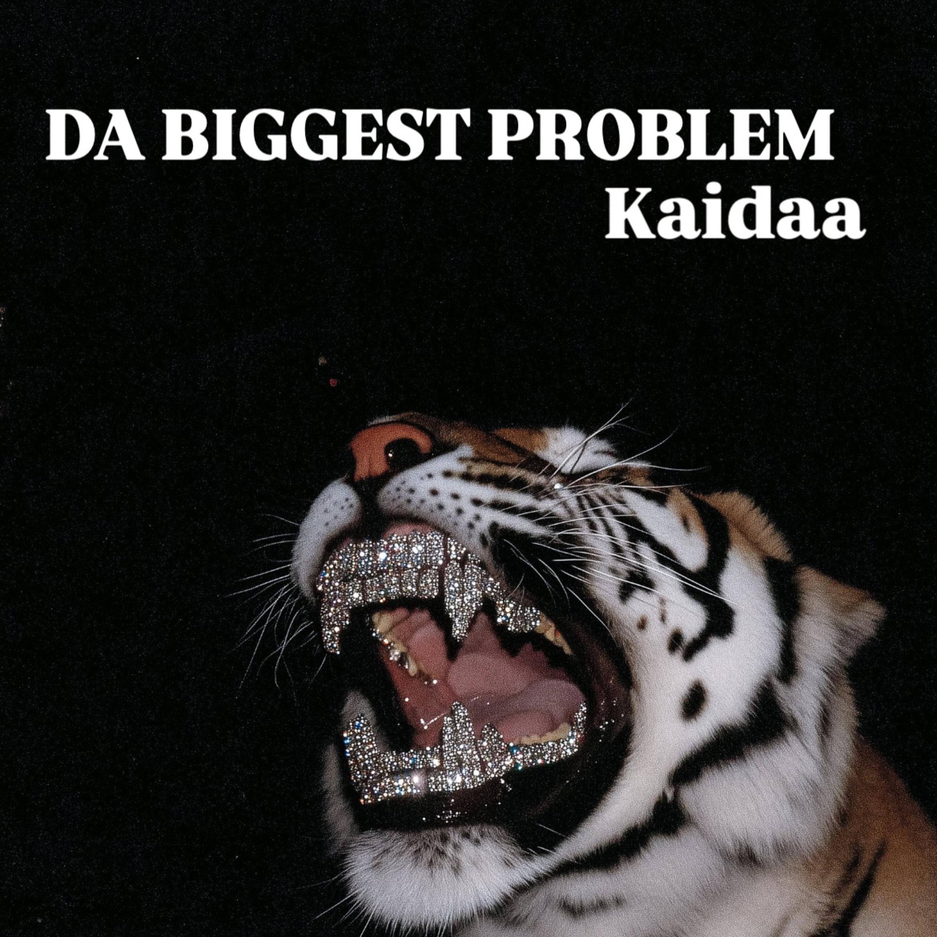 DA BIGGEST PROBLEM artwork