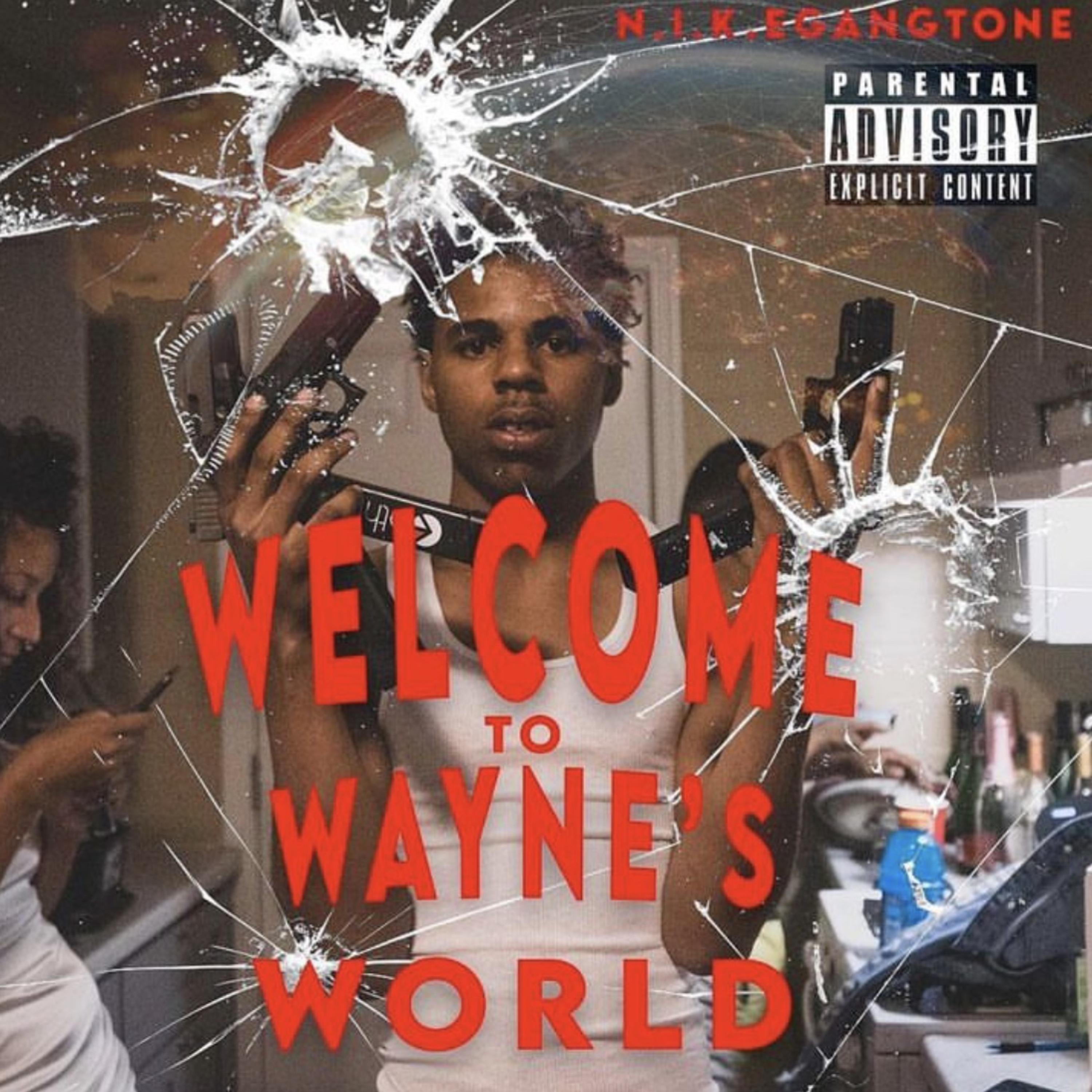 Welcome To Wayne's World artwork