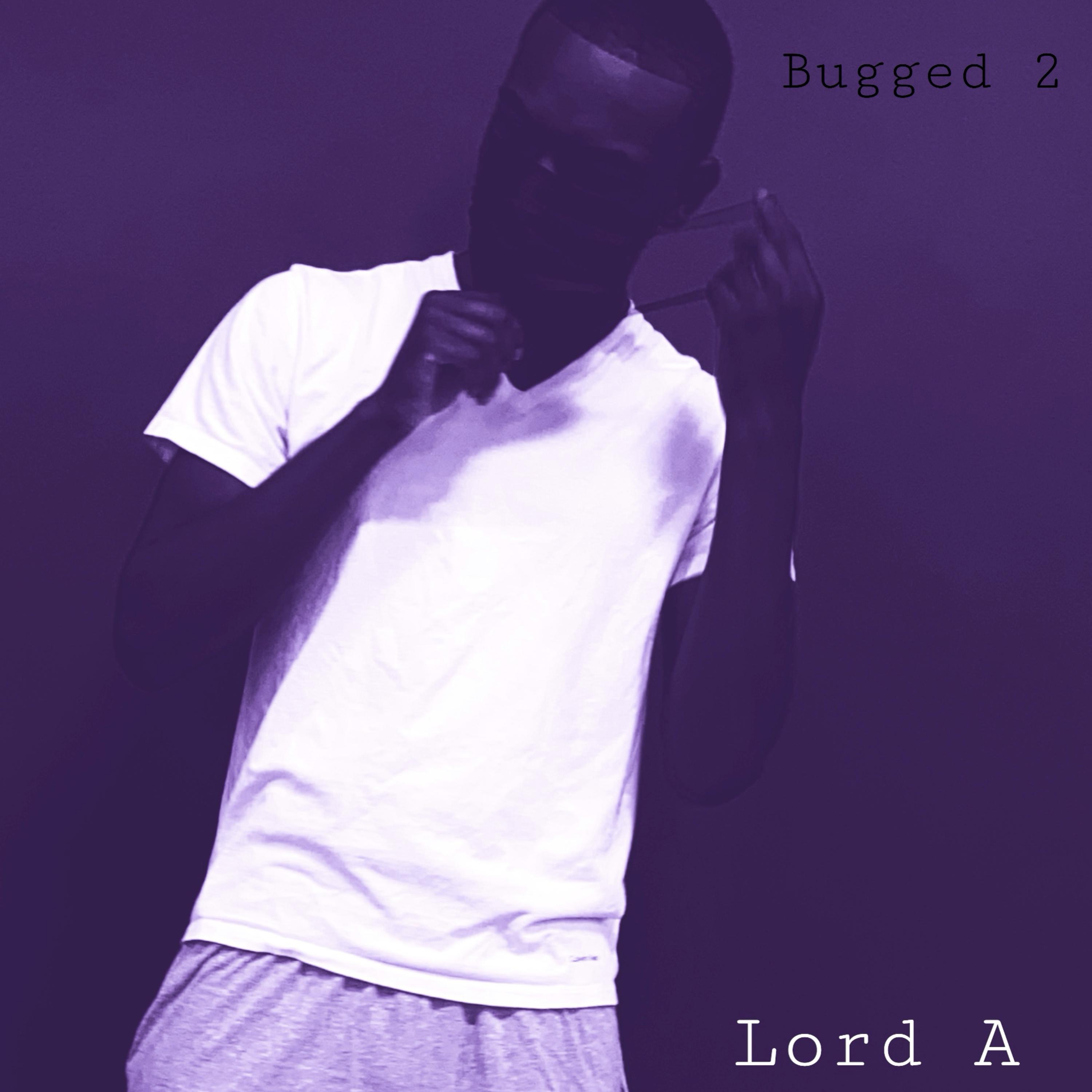 Bugged 2 artwork